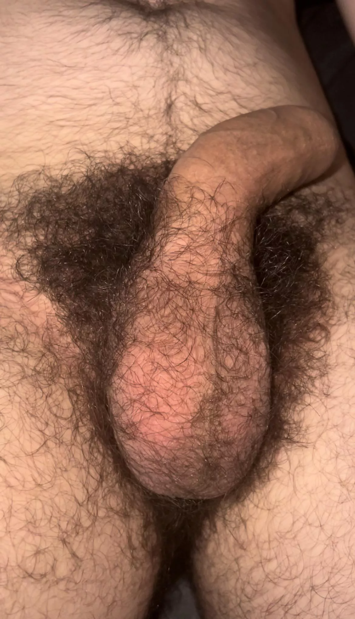 My bush is huge!🌲🍆Dms open😈