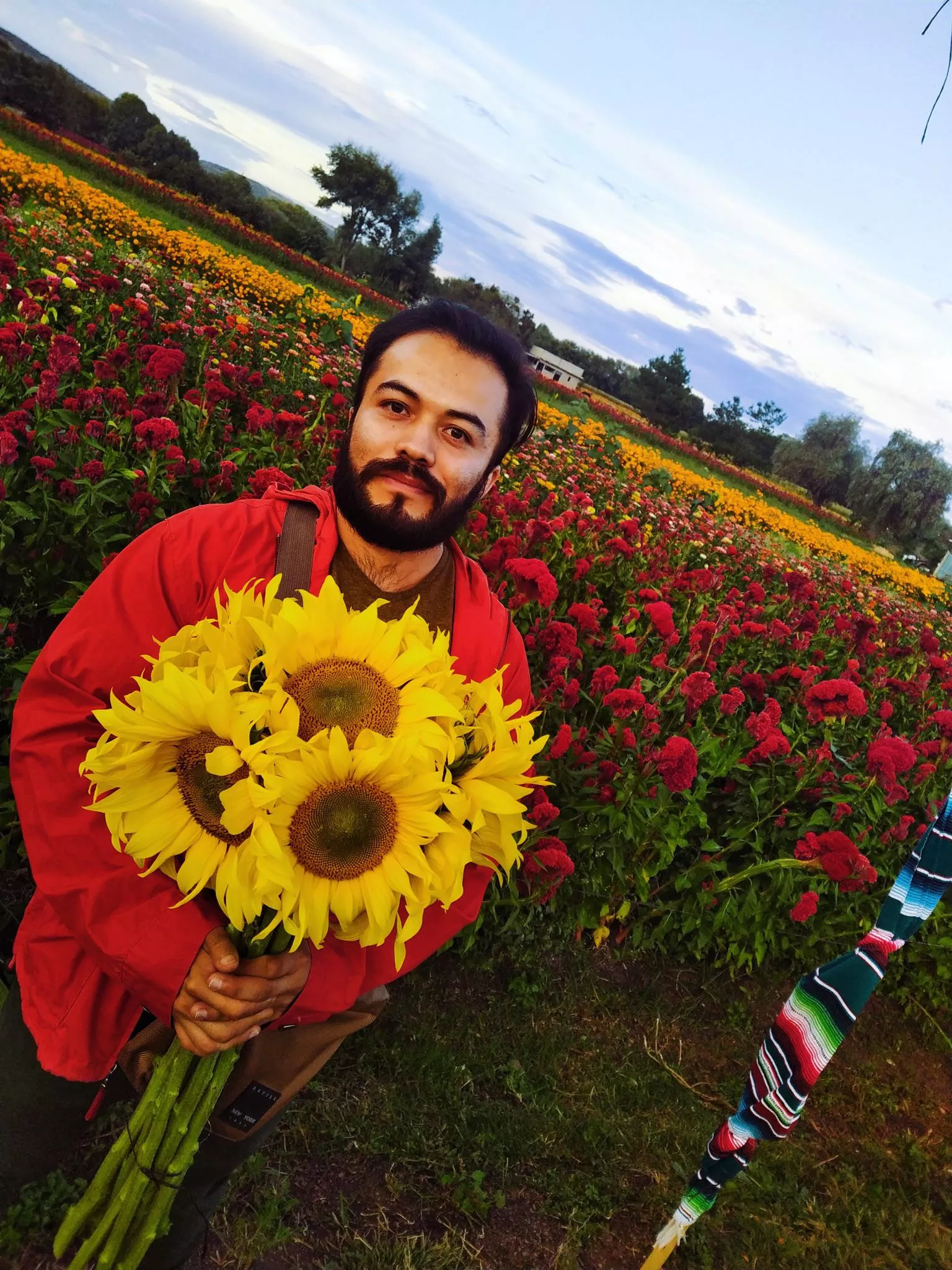 Visiting the fields before they cut the flowers for the Day of the death