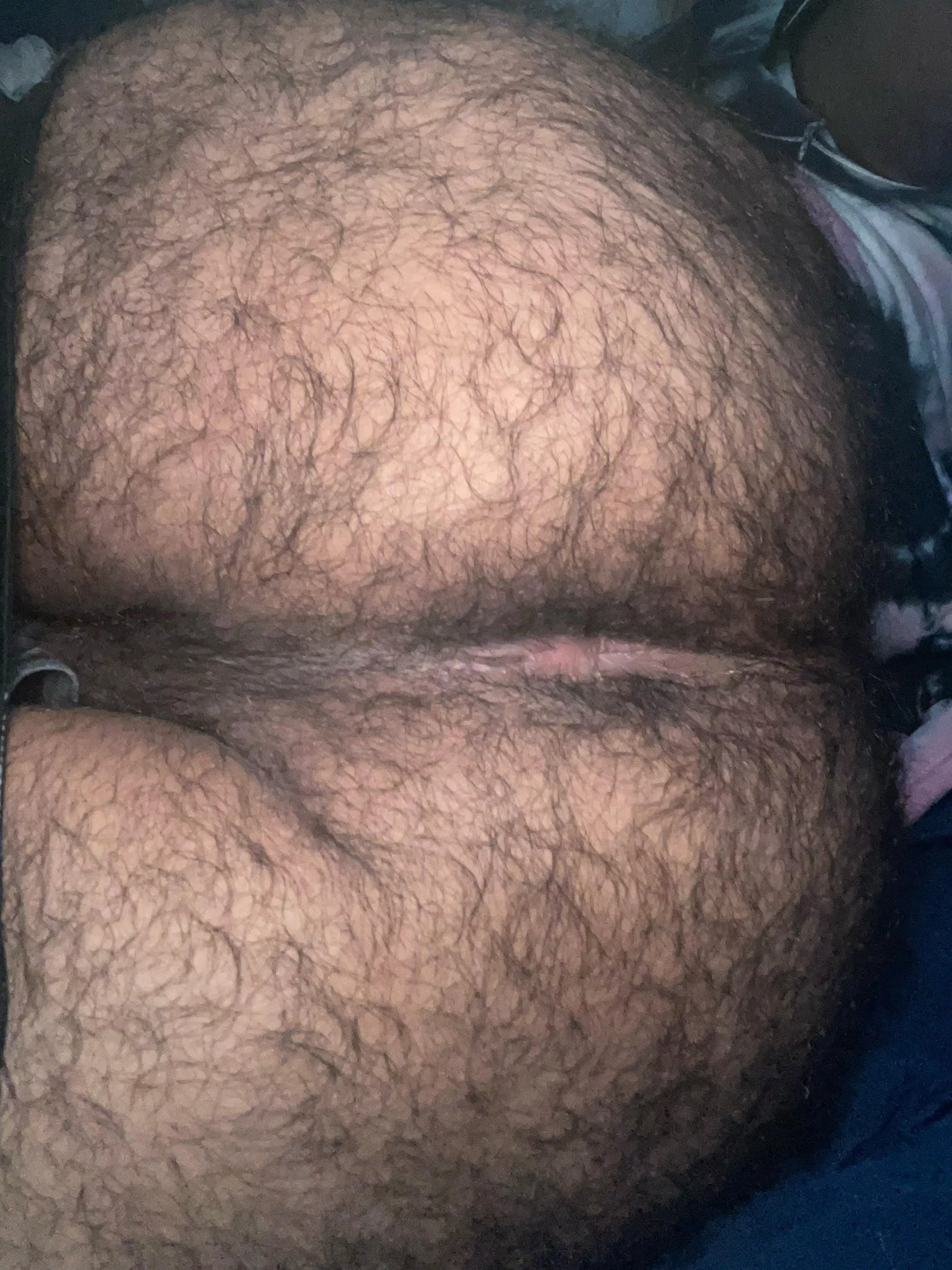 Hairy ass anyone??