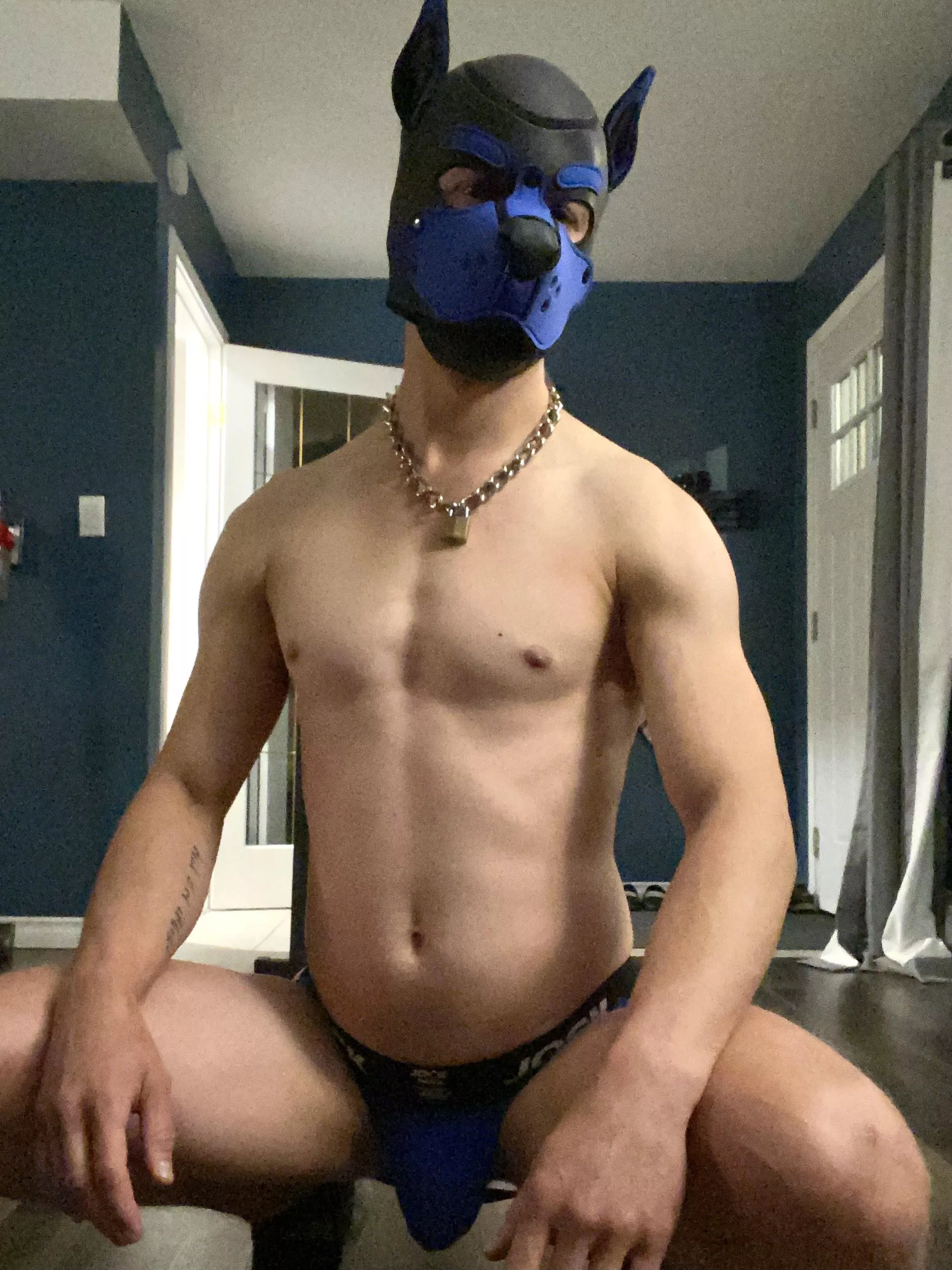 Hey pups, happy Sunday! ðŸ¾ðŸ¾