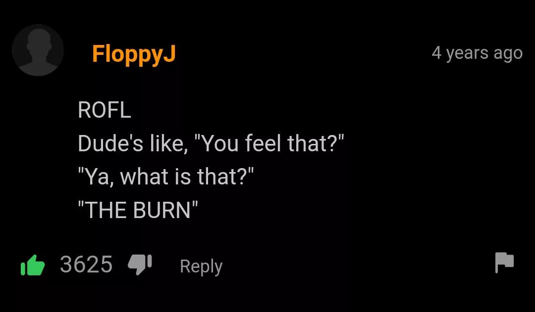 THE BURN