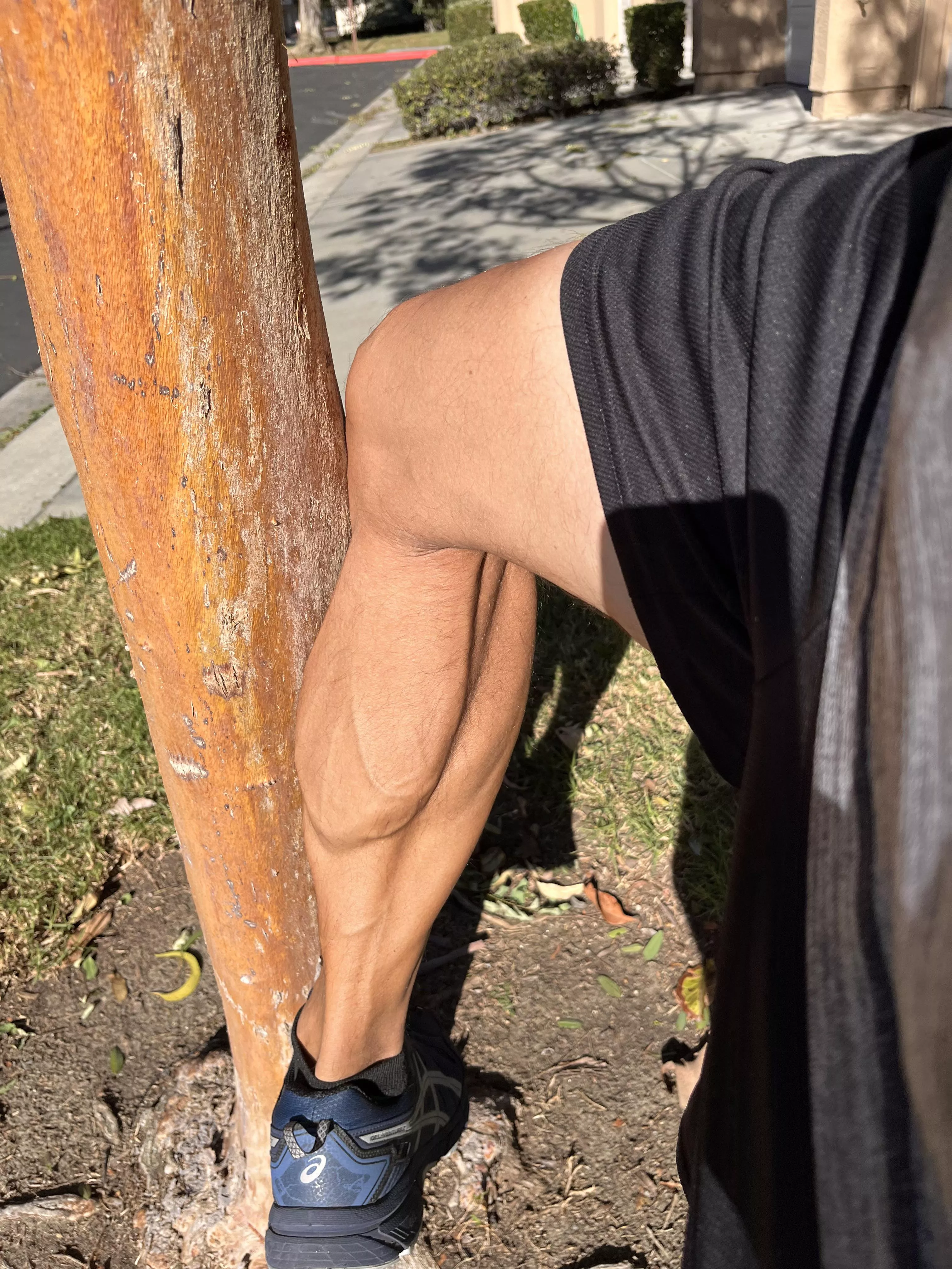 Definitely full calf not decalf [M]