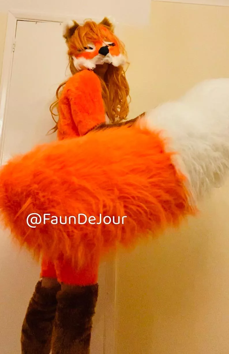 Love my big fluffy tail. Hi 👋 😙