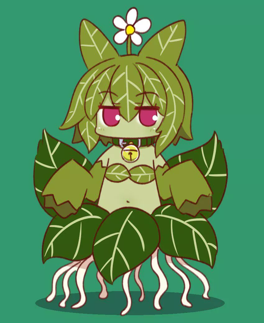 Neko plant