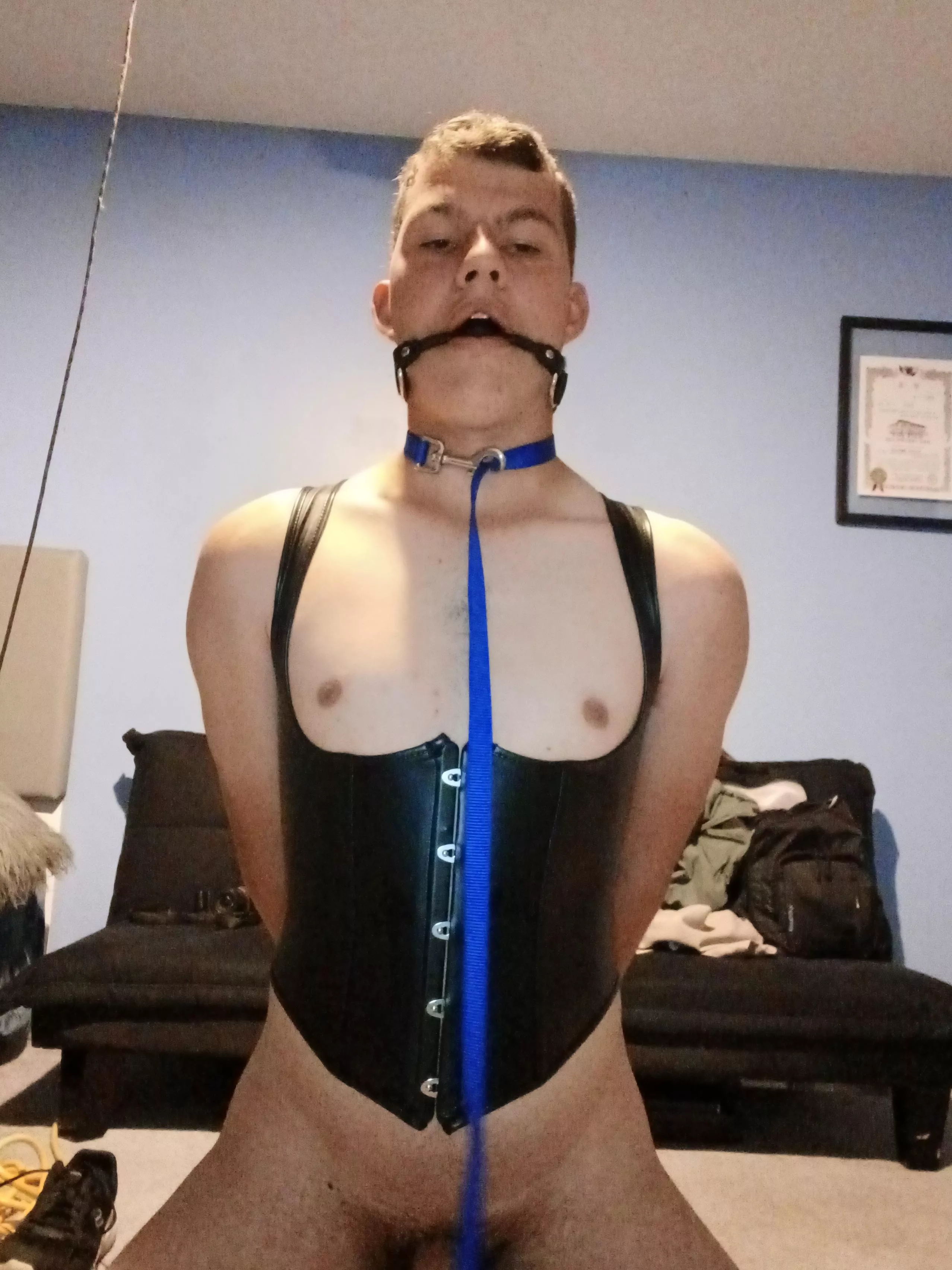 [18M] leashed, gagged, and on my knees