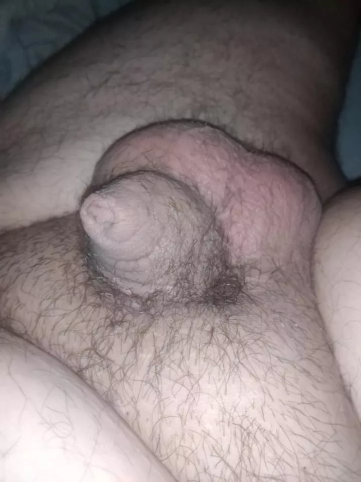 [19] any micropenis to masturbate?