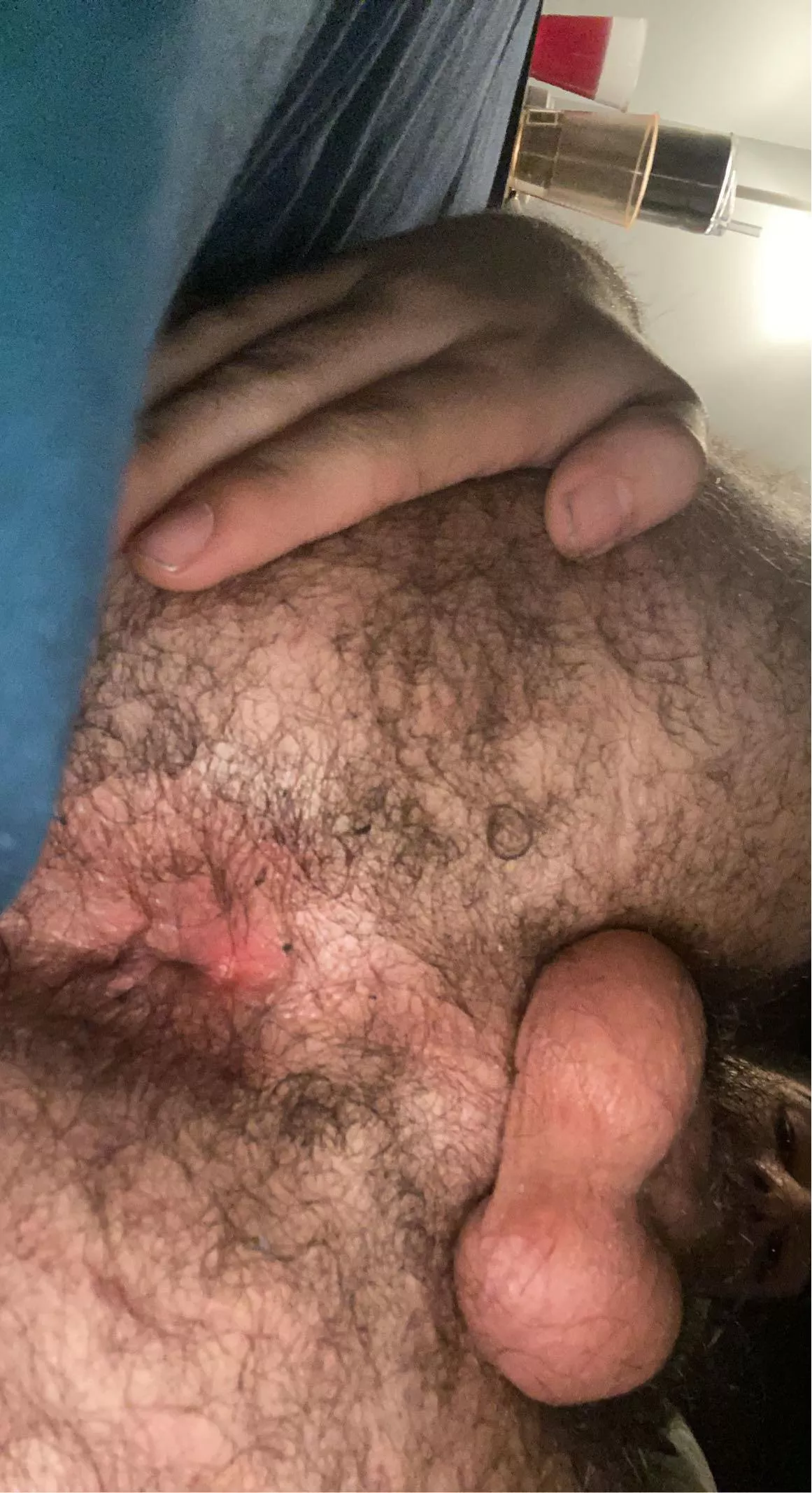 19 come breed your hairy boy