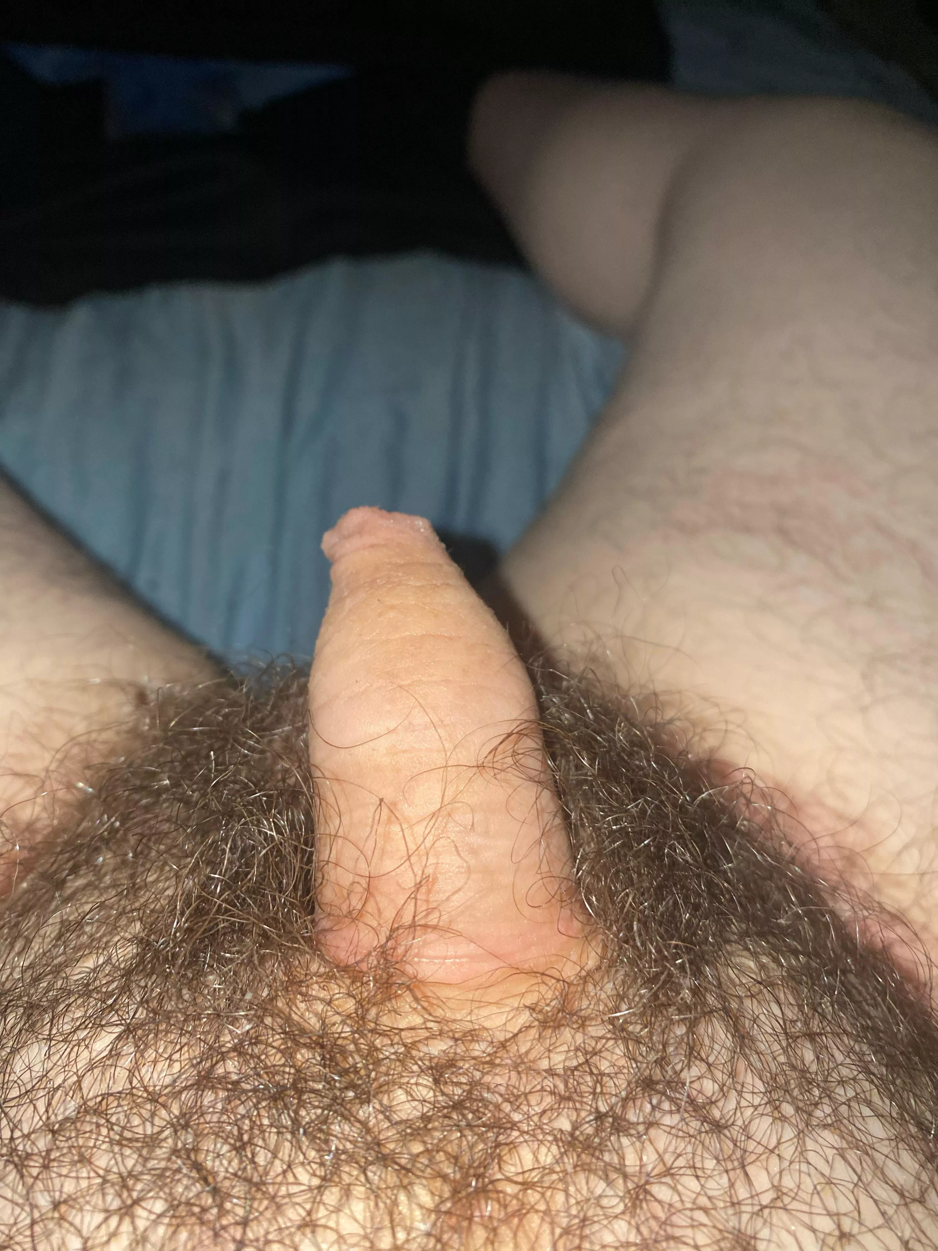 [19] here it is soft dm for exchange😉