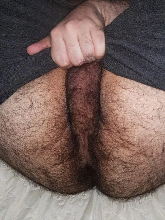 [19] horny and hairy