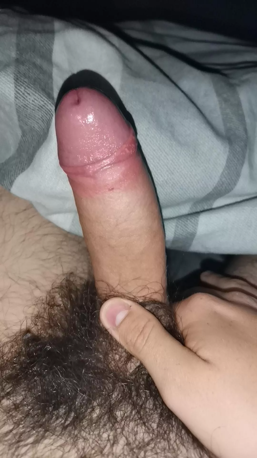 (19) I need to shave but here's my dick before hand