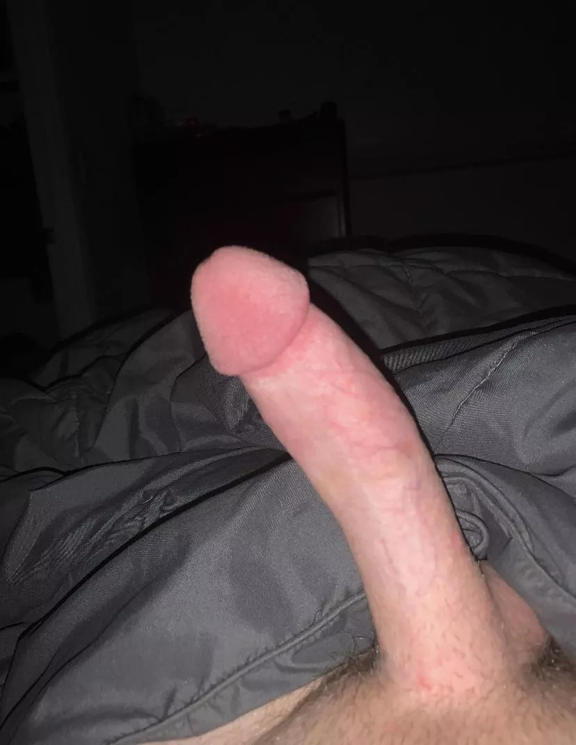 20 and horny feel free to dm me ;)