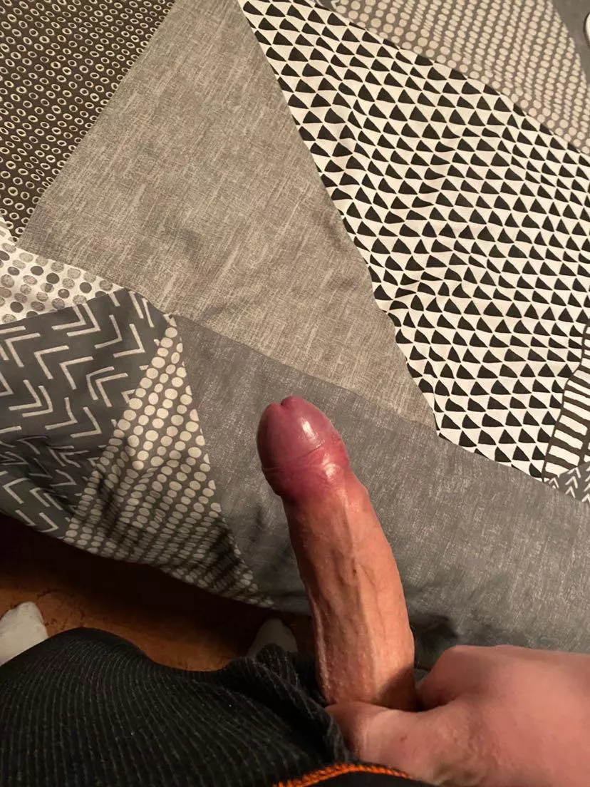 20yo hard cock waiting to fill something