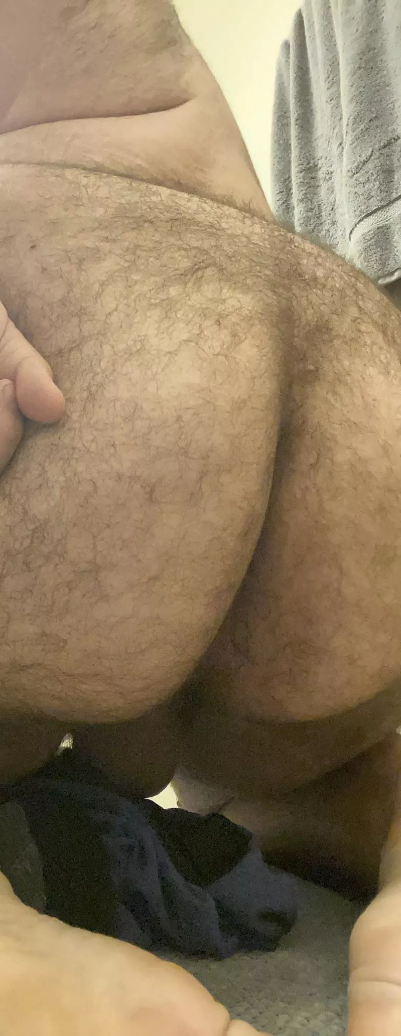 21 M - Anyone into a hairy ass?