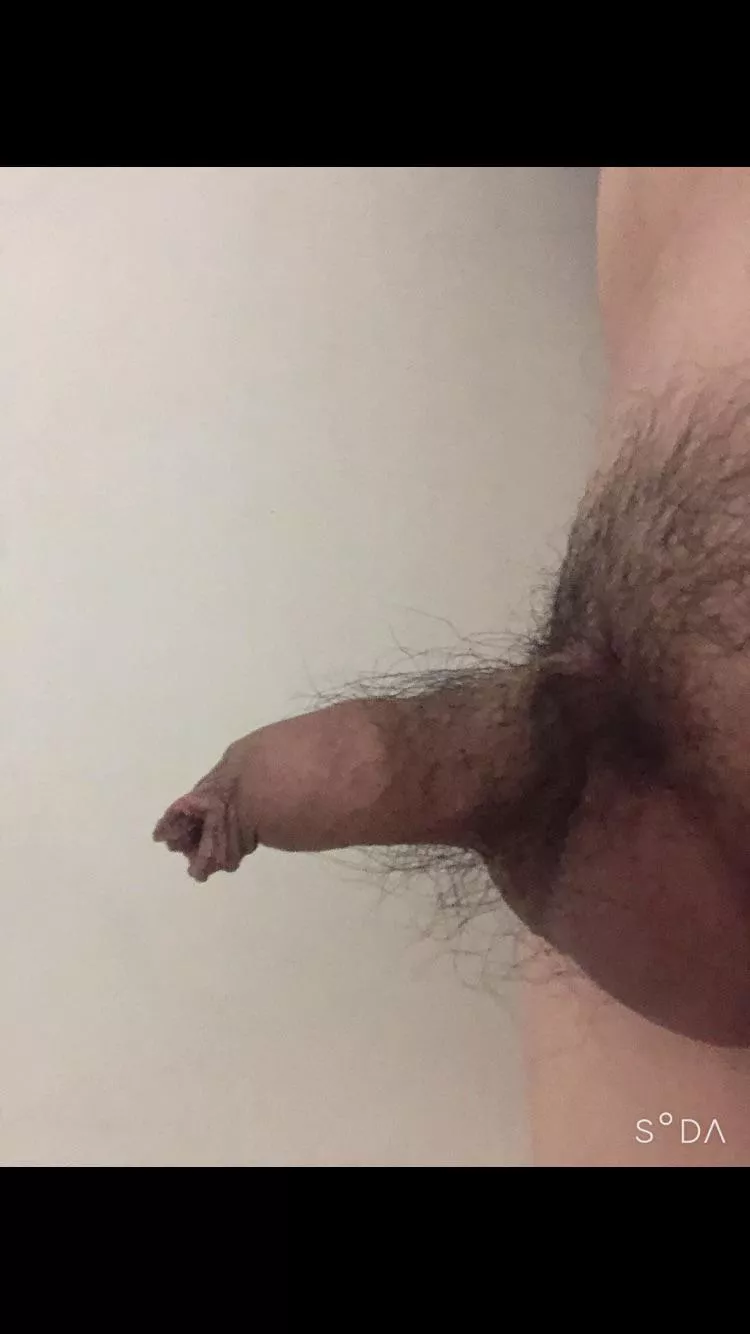 (22) tiny Korean dick