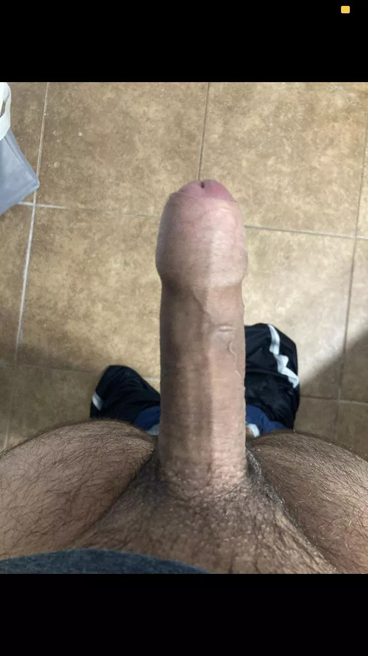 [22] Who can help me milk this hard cock looking for bwc