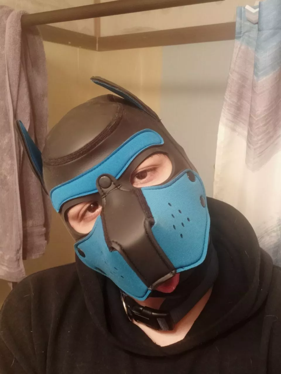 22m Pup in South Arkansas, looking for some friends to play with