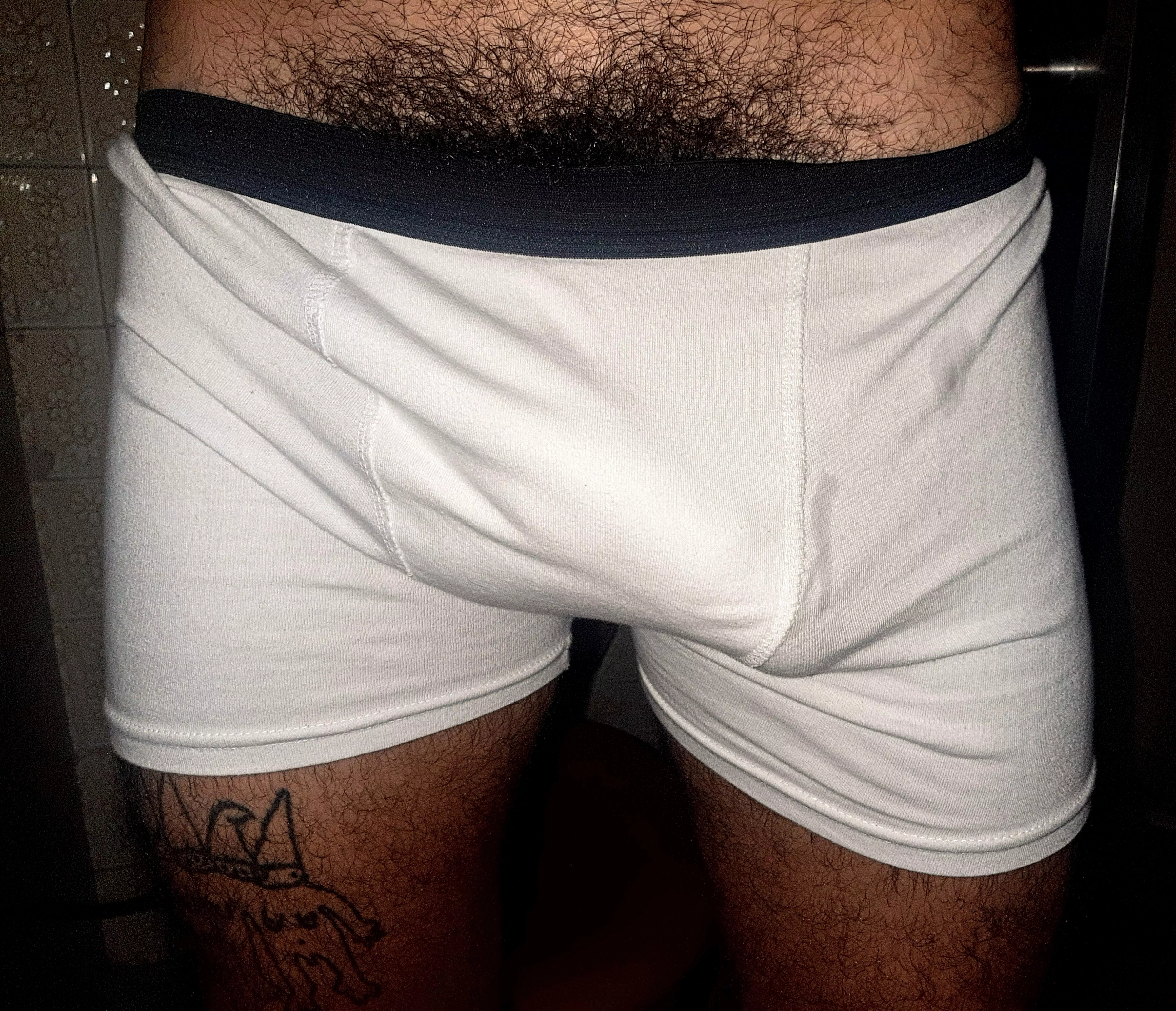 (24) Hairy drooled bulge