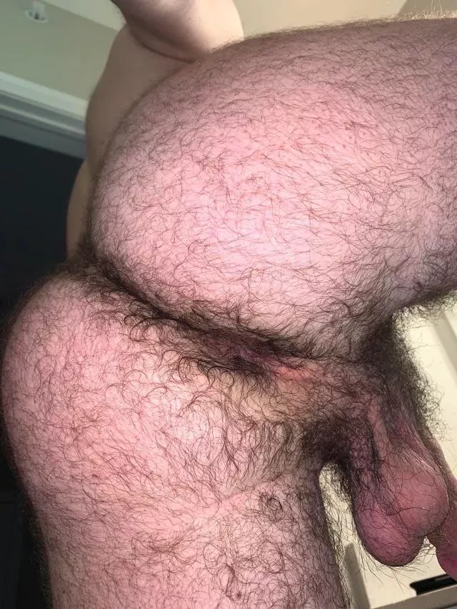 24 in shape bottom bro with a big furry bubble butt. ðŸ¤ª DMs are open