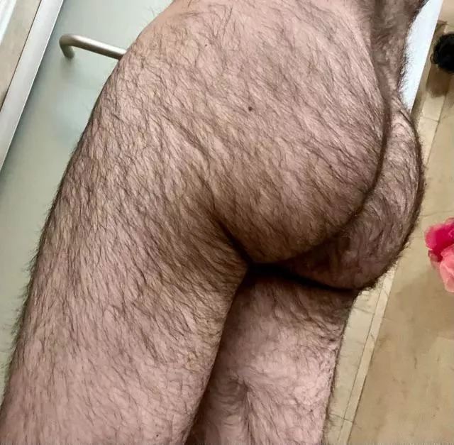 24 in shape bottom bro with a big furry bubble butt. 🤪 DMs are open