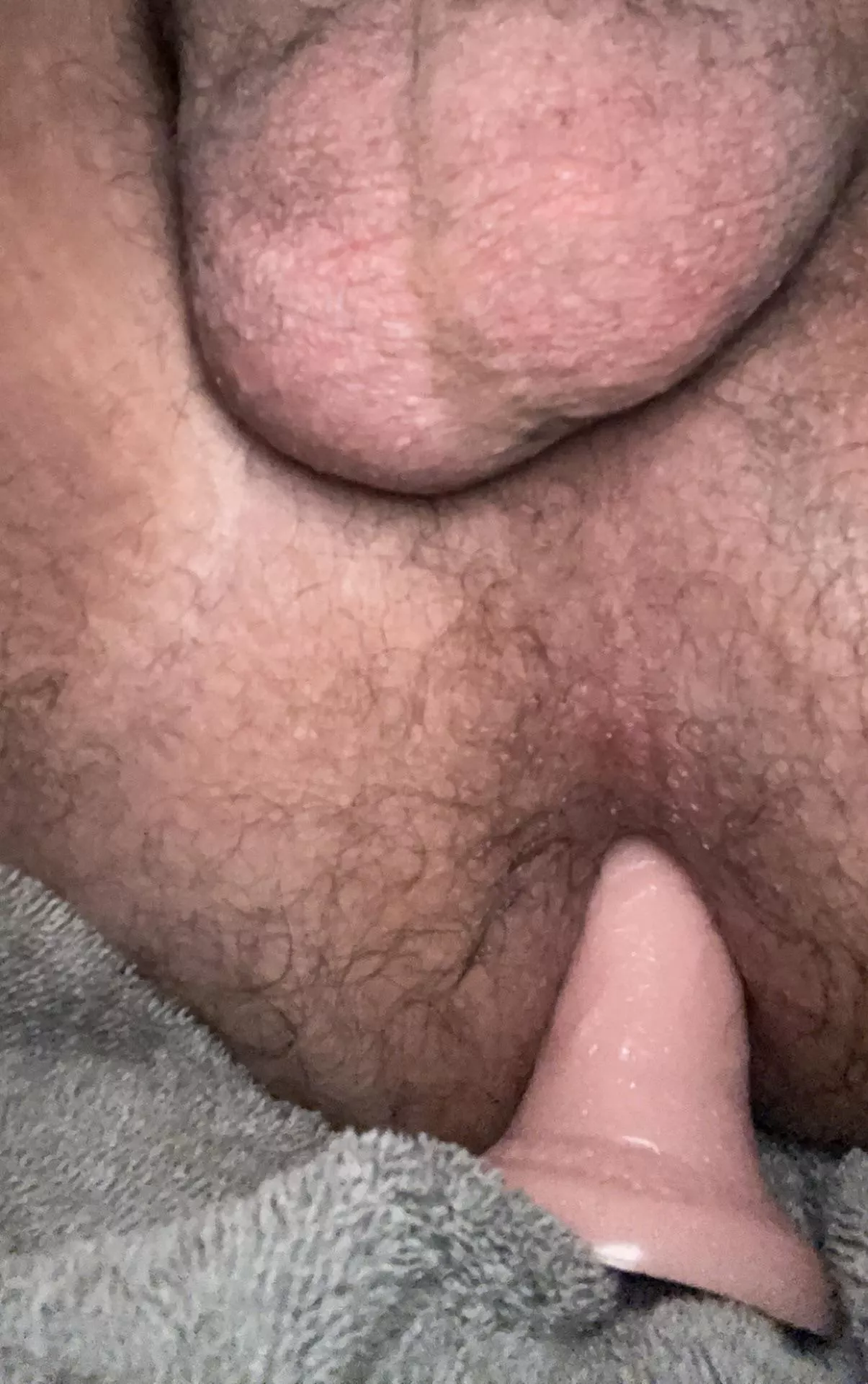 [24] Show me your cockâ€¦ DMs open