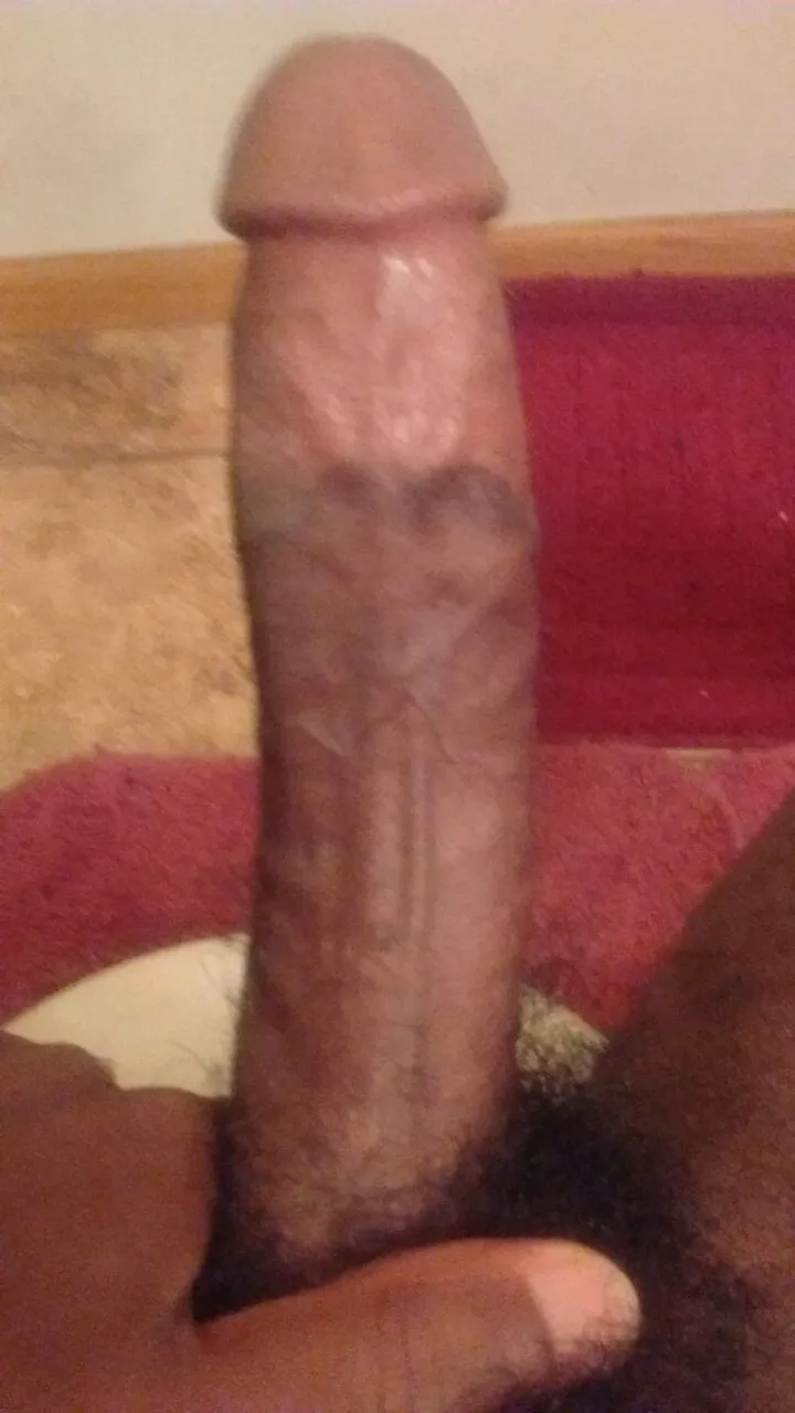 25m bbc bull here