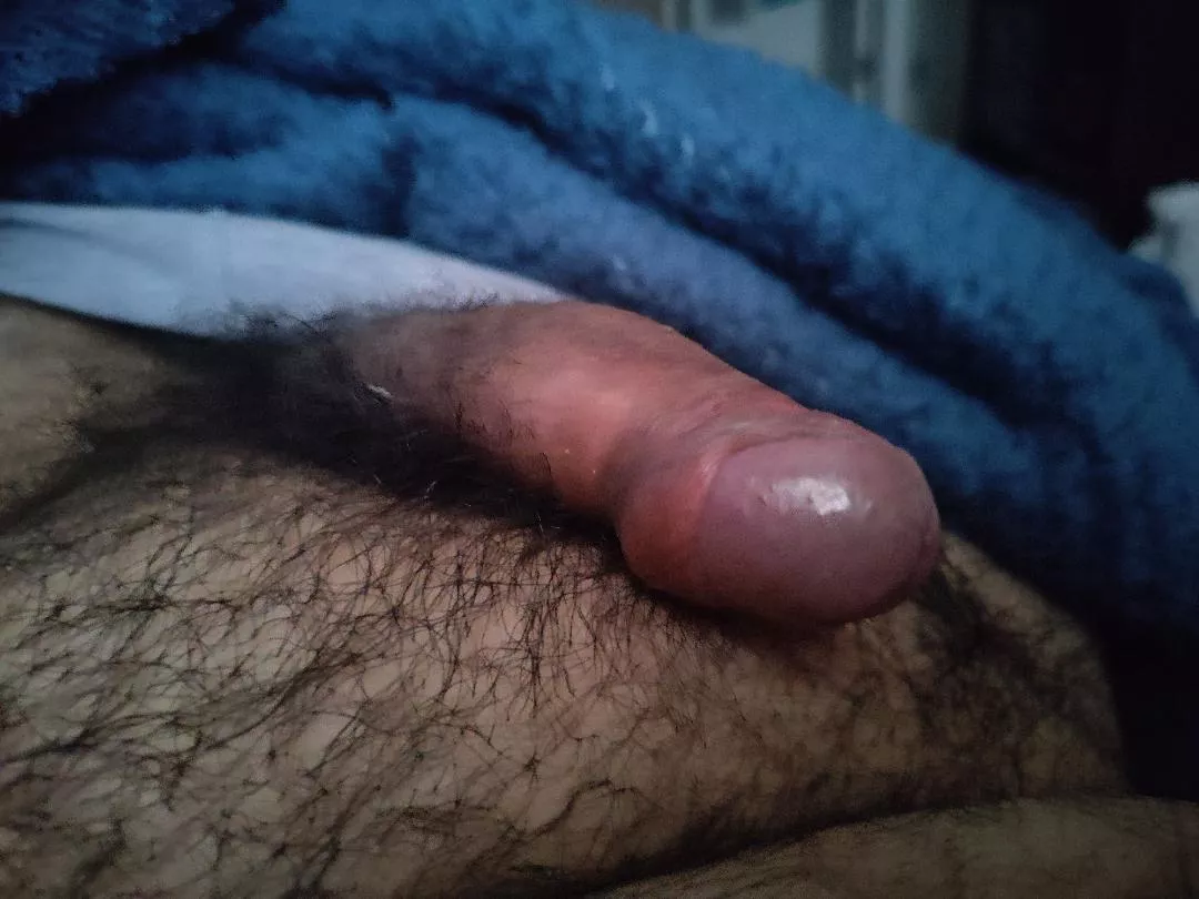 [27] Woke up with a little morning wood. Chat open.