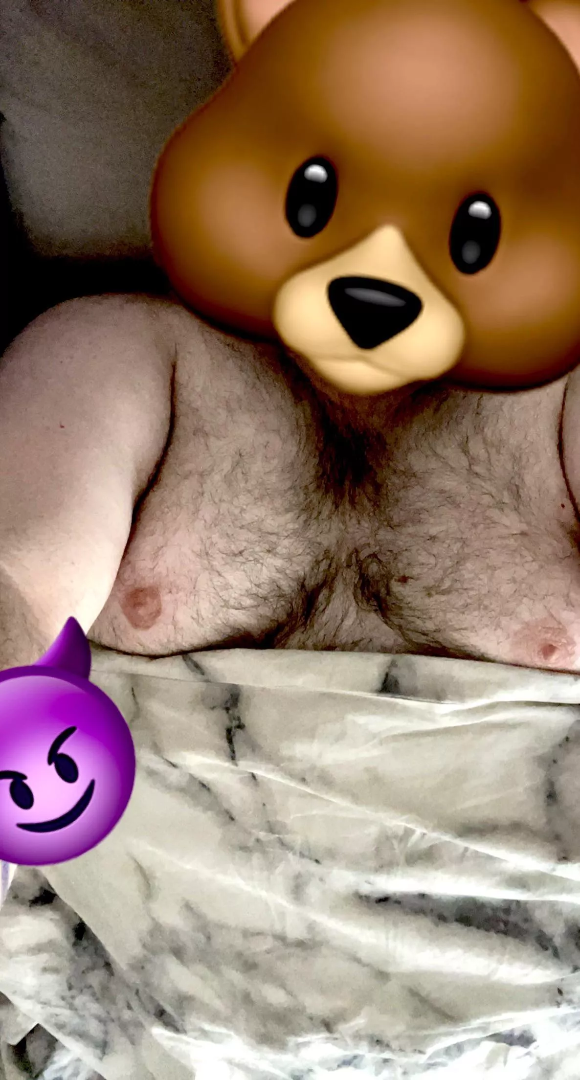 27M - Gay hairy chub, with big tits. Kinky ✅ DMs Open ✅💬