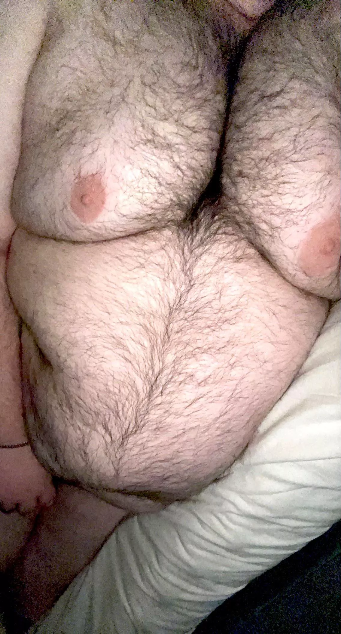 27M - Gay hairy chub, with big tits. Kinky ✅ DMs Open ✅💬