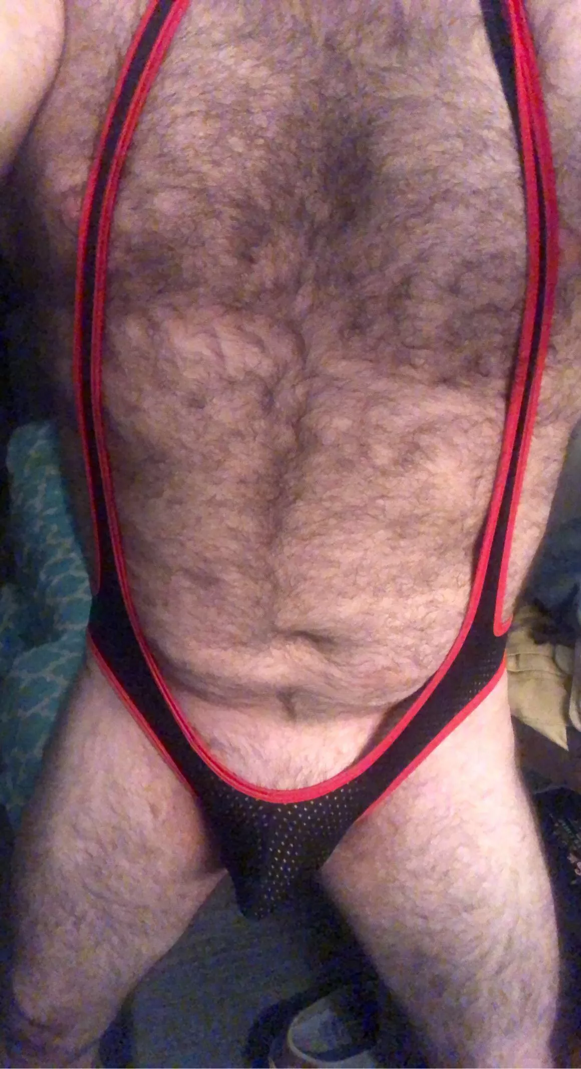 28 m hairy husky guy. Who wants to chat?