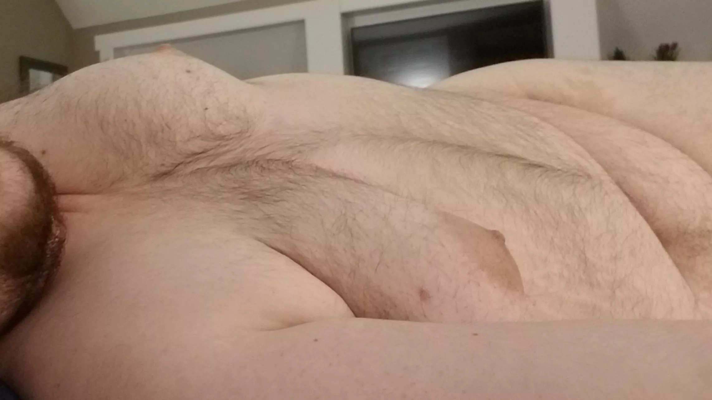 29TM chubby trans bear looking to jerk off all night