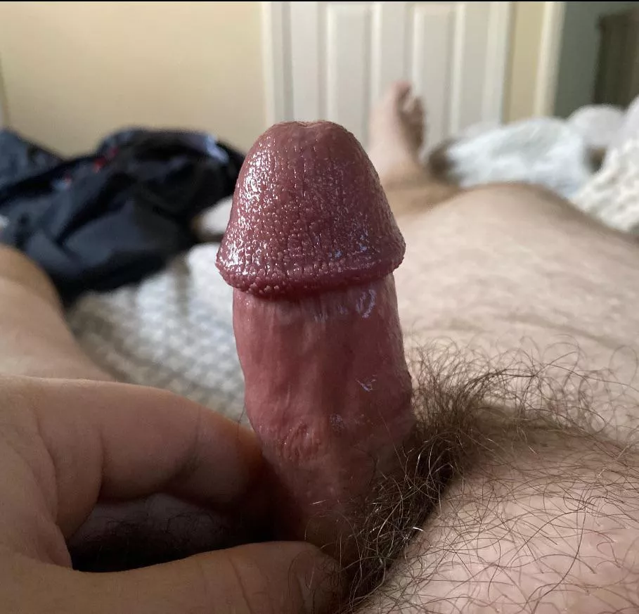 [30] Bricked up on a Monday. Anyone like my cock? ðŸ‘€