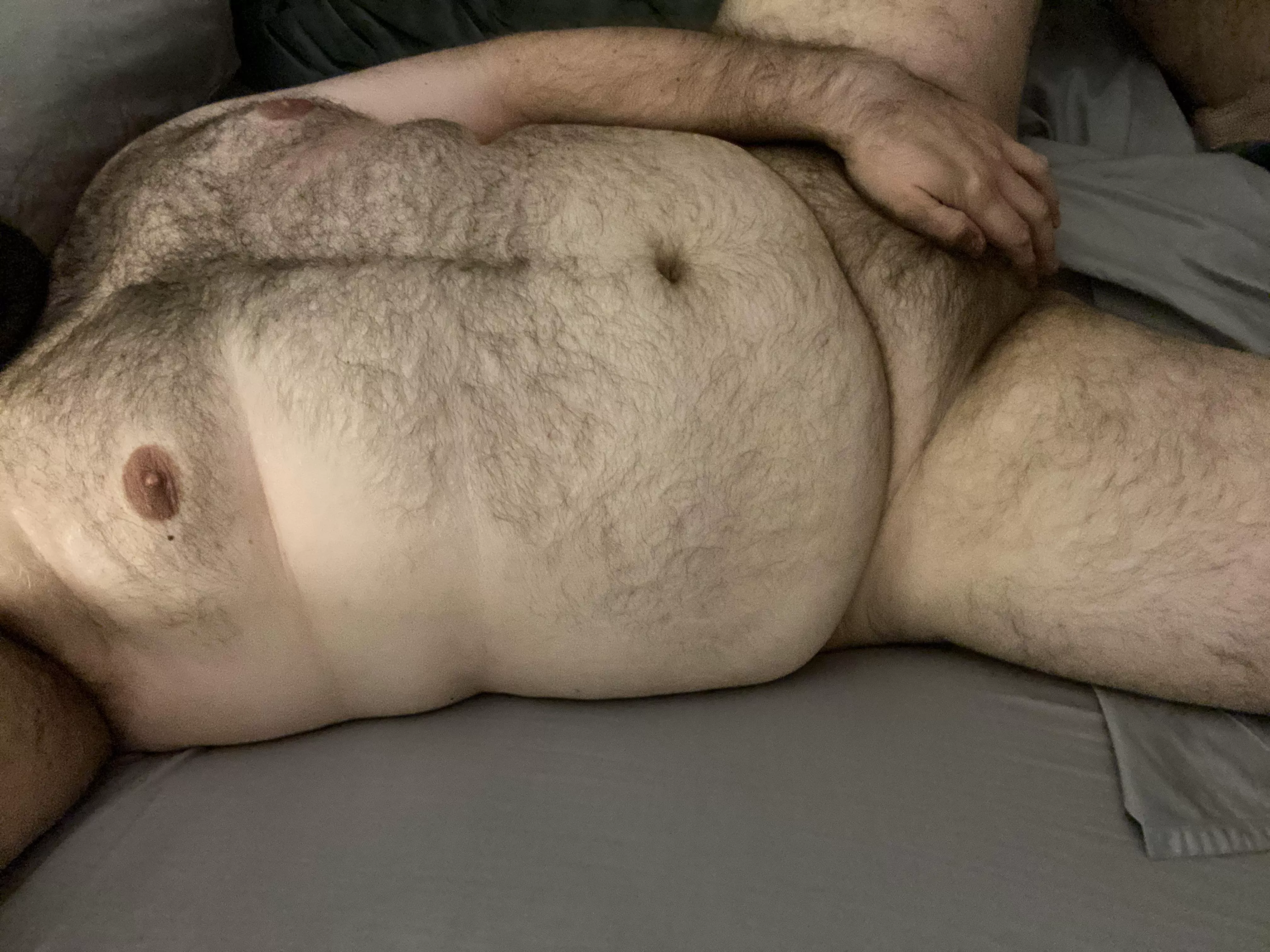 31yo bottom bear, interested in chasers or bears smaller than me. Dm open. Please be 25+..