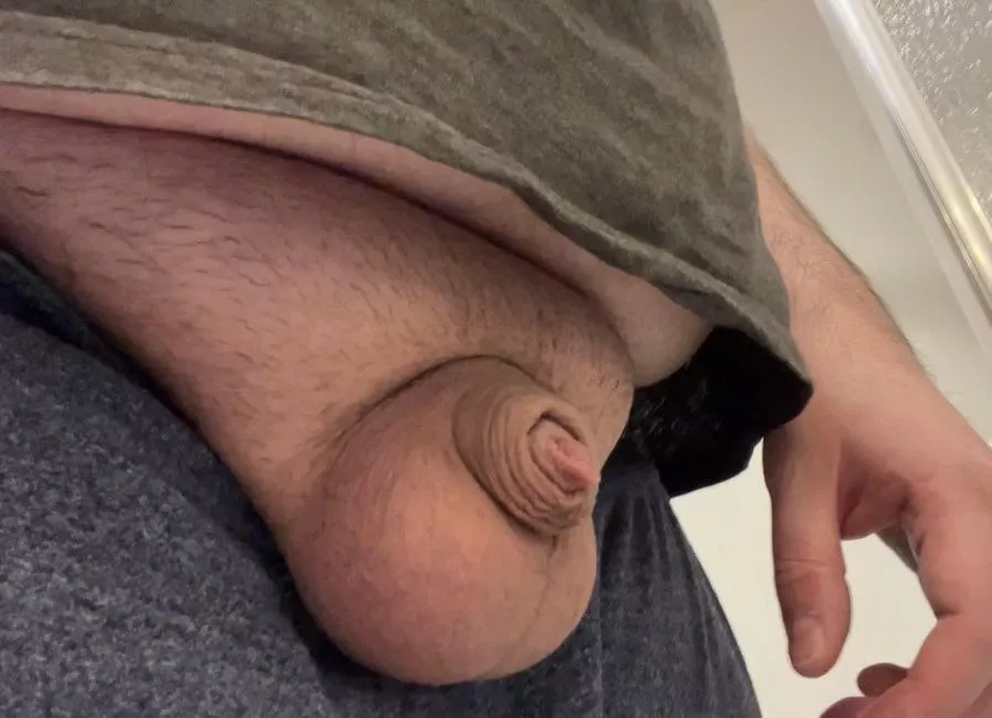 [33] fat boy, tiny dick