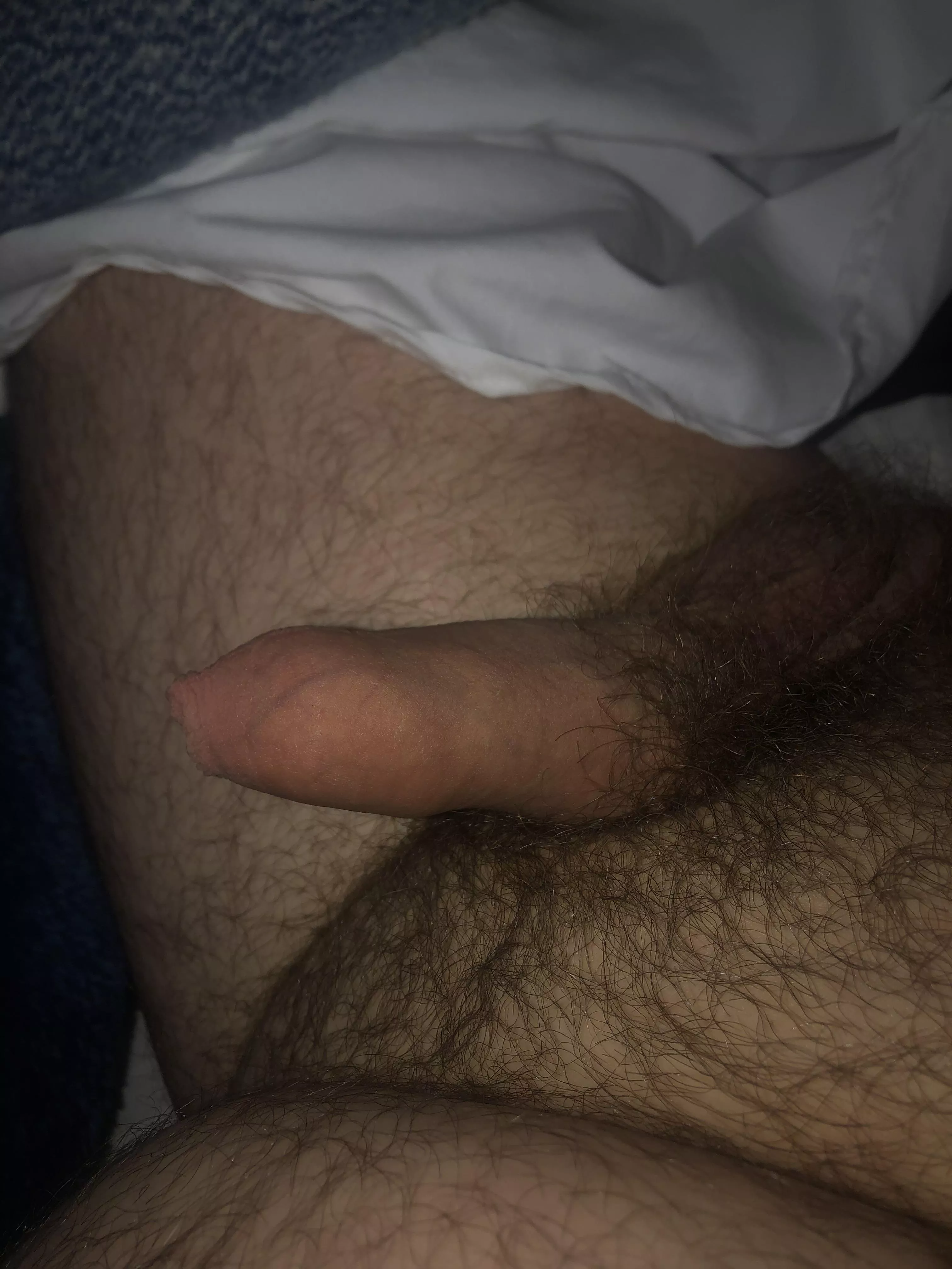 [33] Good morning!