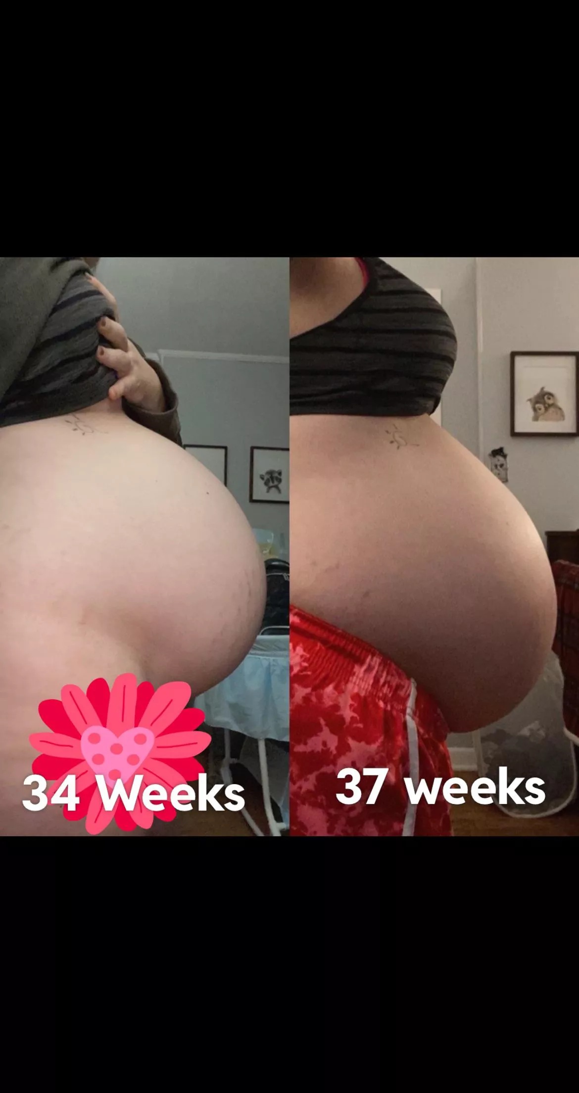 34weeks vs. 37weeks. Does the baby look like he dropped?