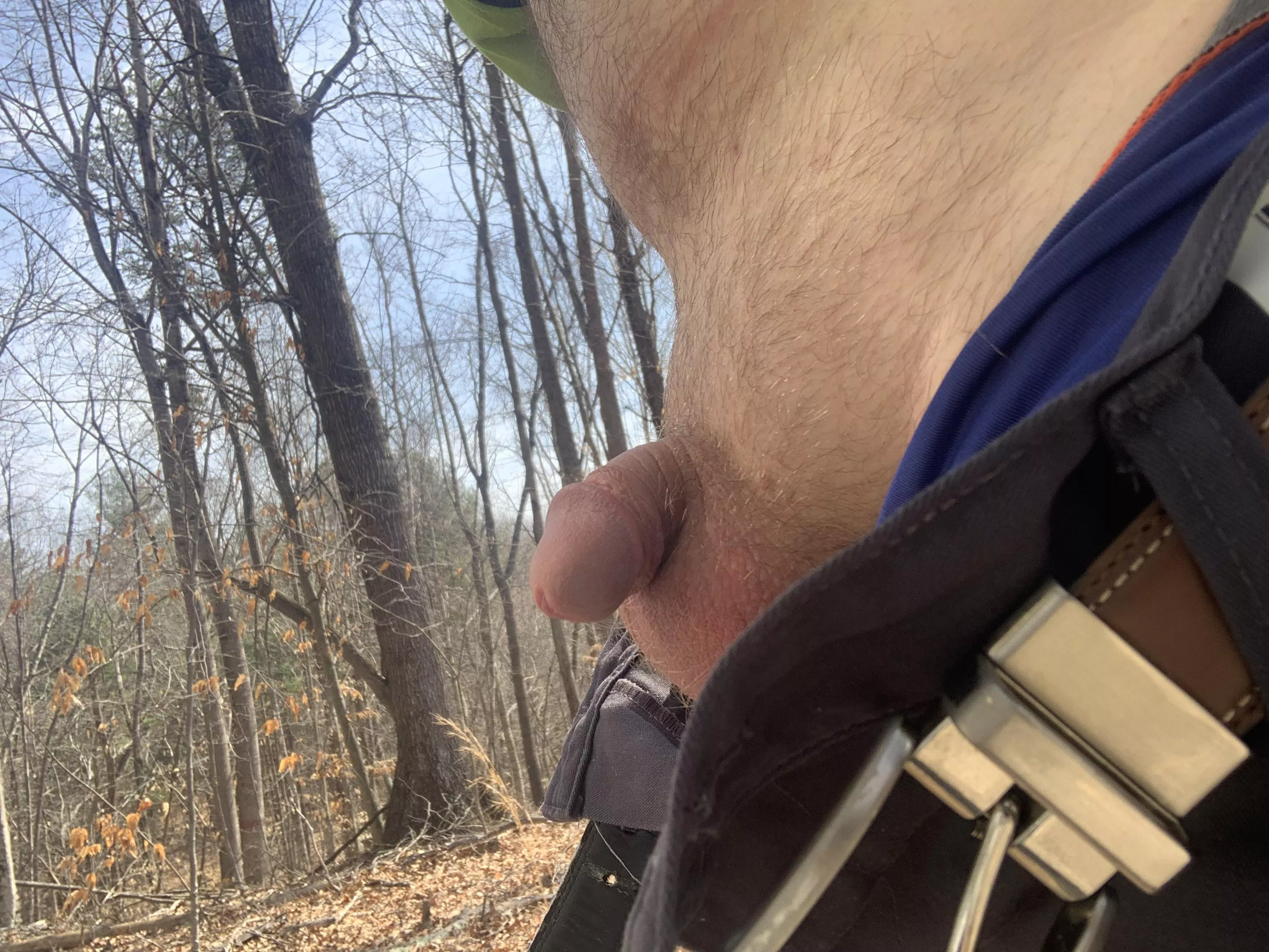 [35] Out for a â€œlittleâ€ walk in the woods.