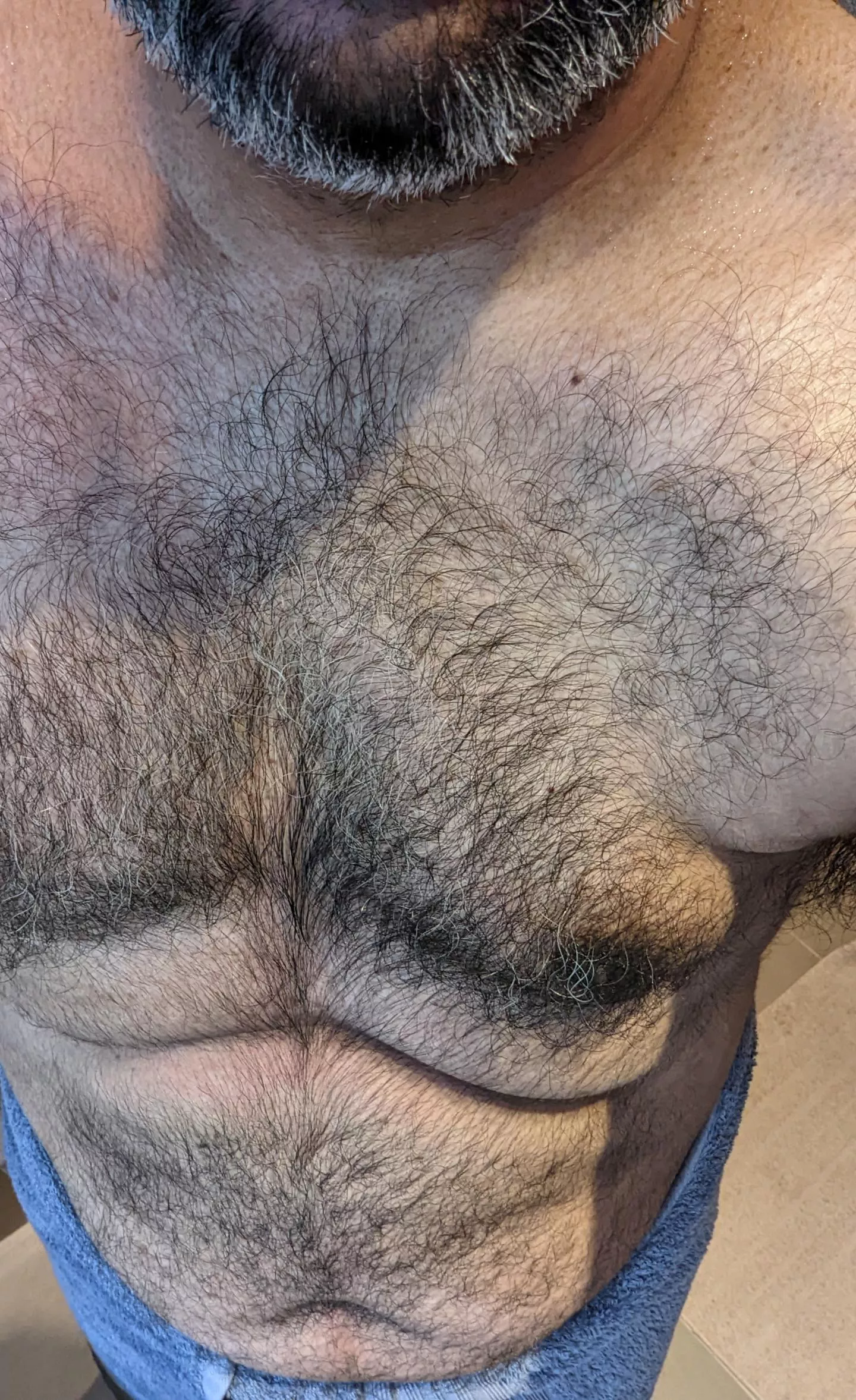 (41) Big brown chub bear seeks fuzz friendly plaything (London & SE England)