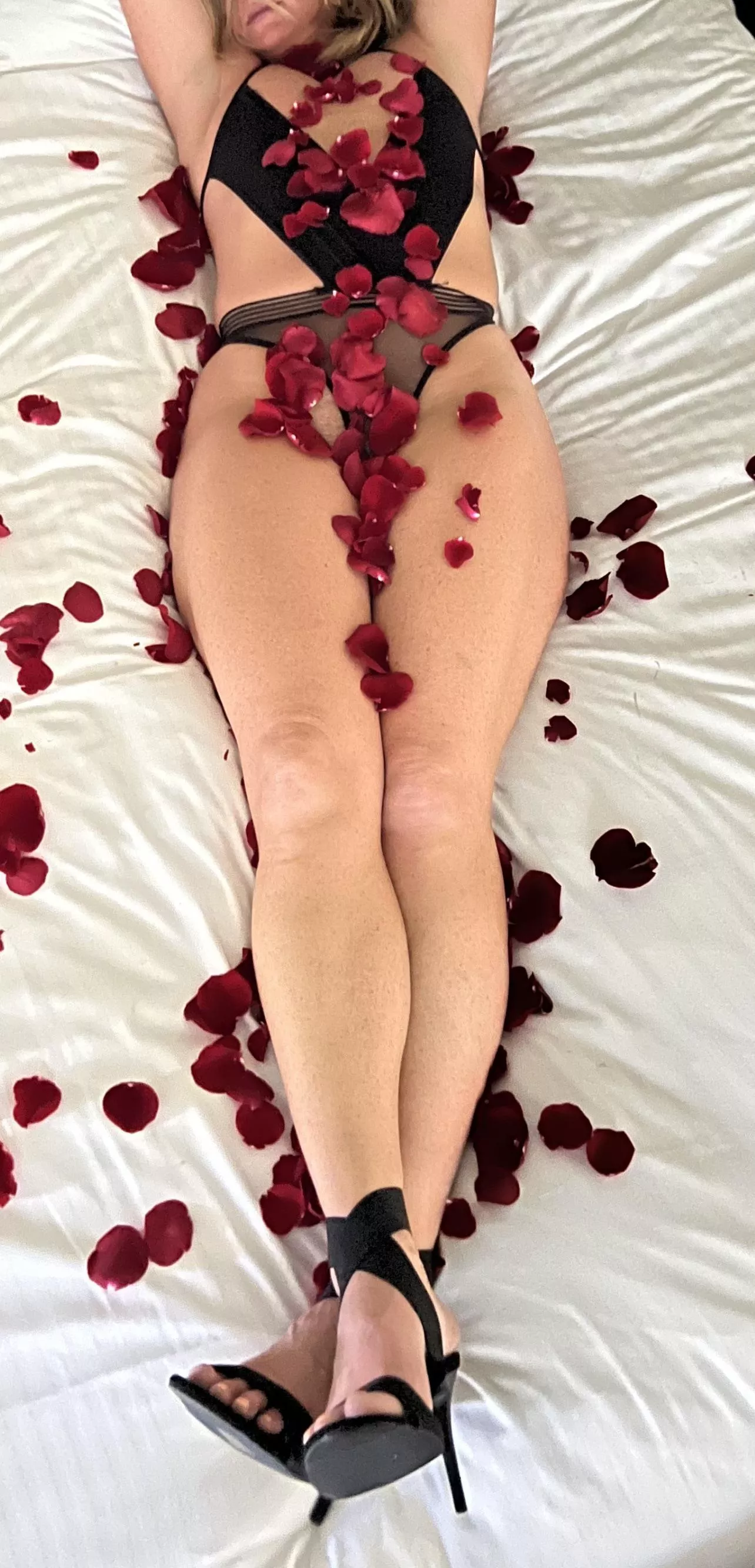 (44) Don’t understand rose petals (f)