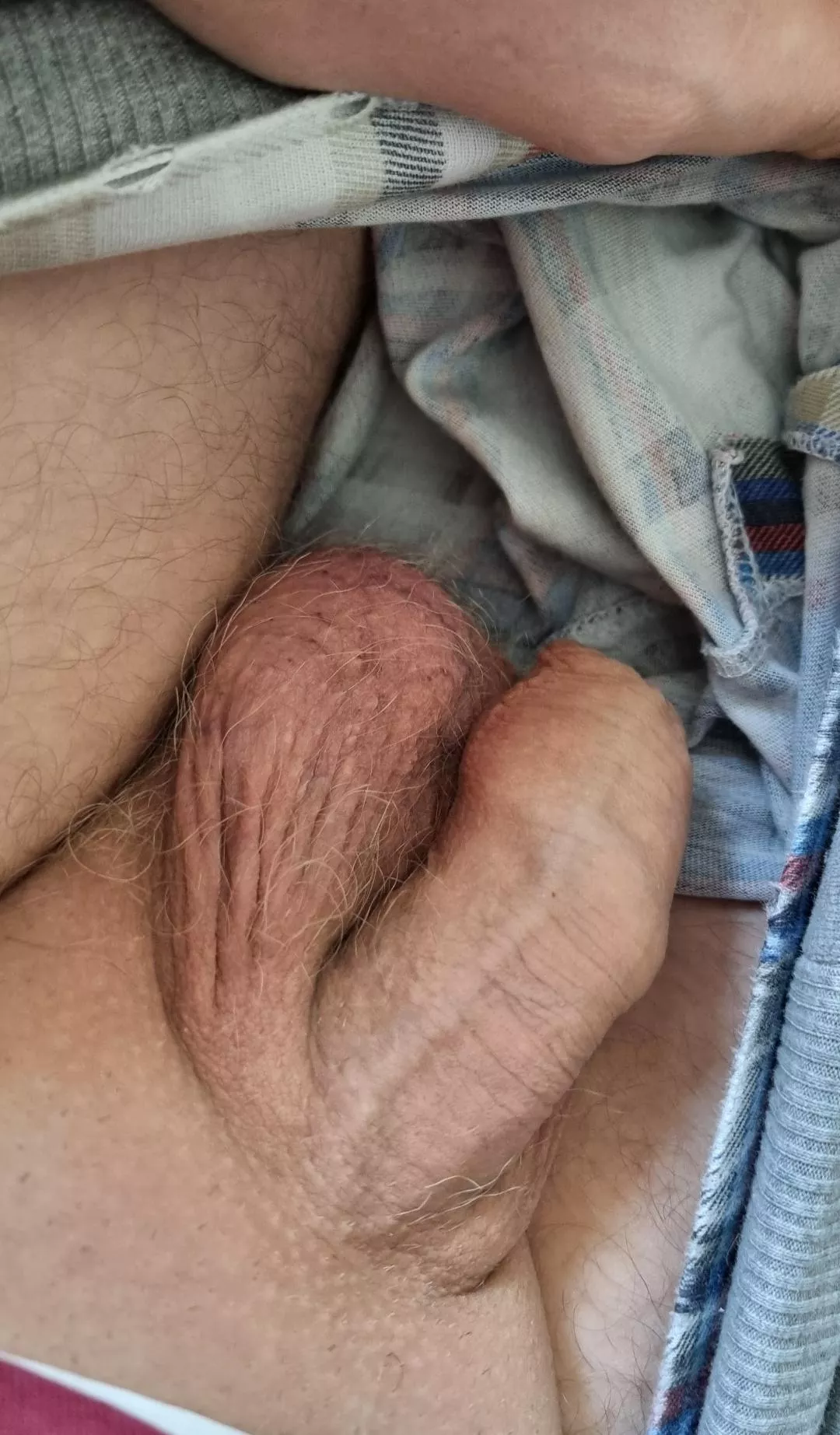 [44] Take a look in my pants