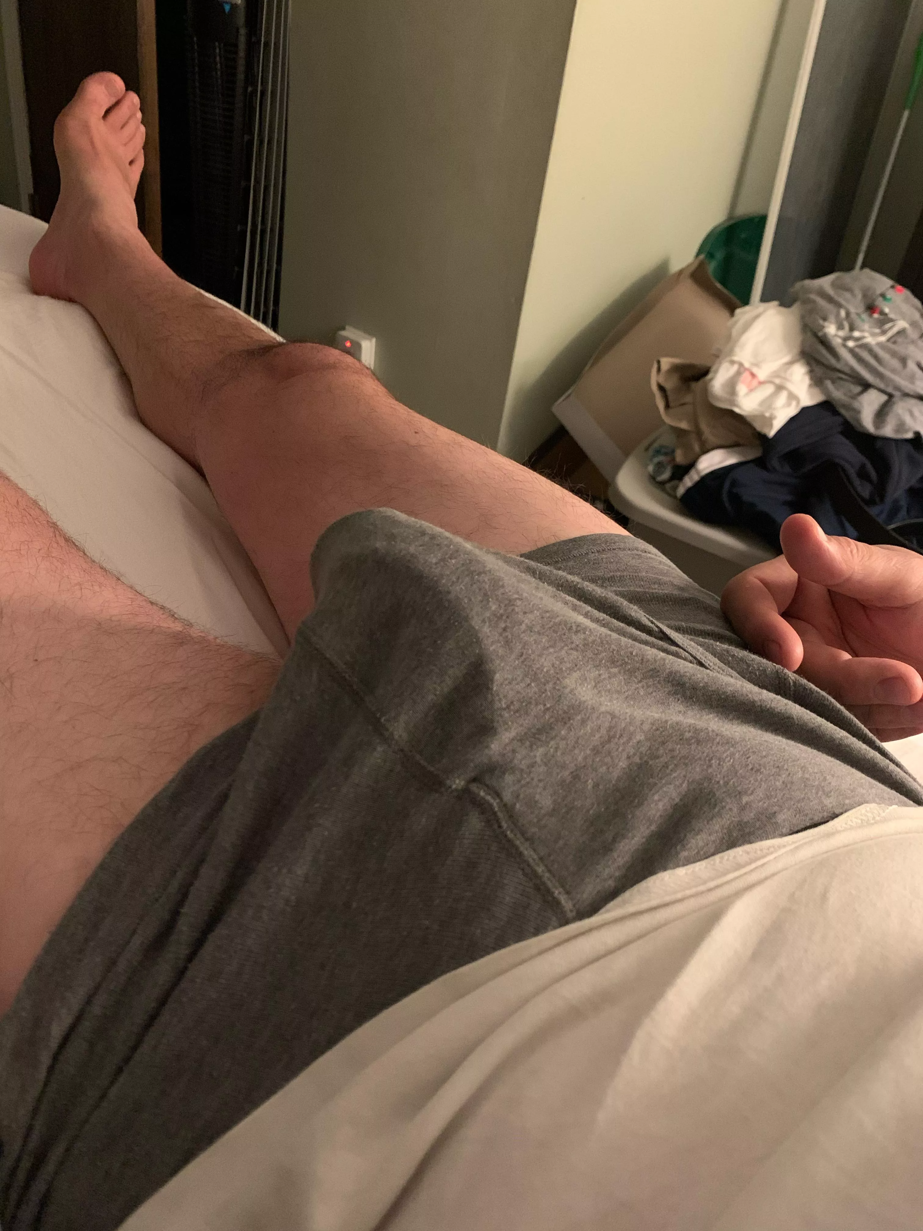 [45] Morning wood….