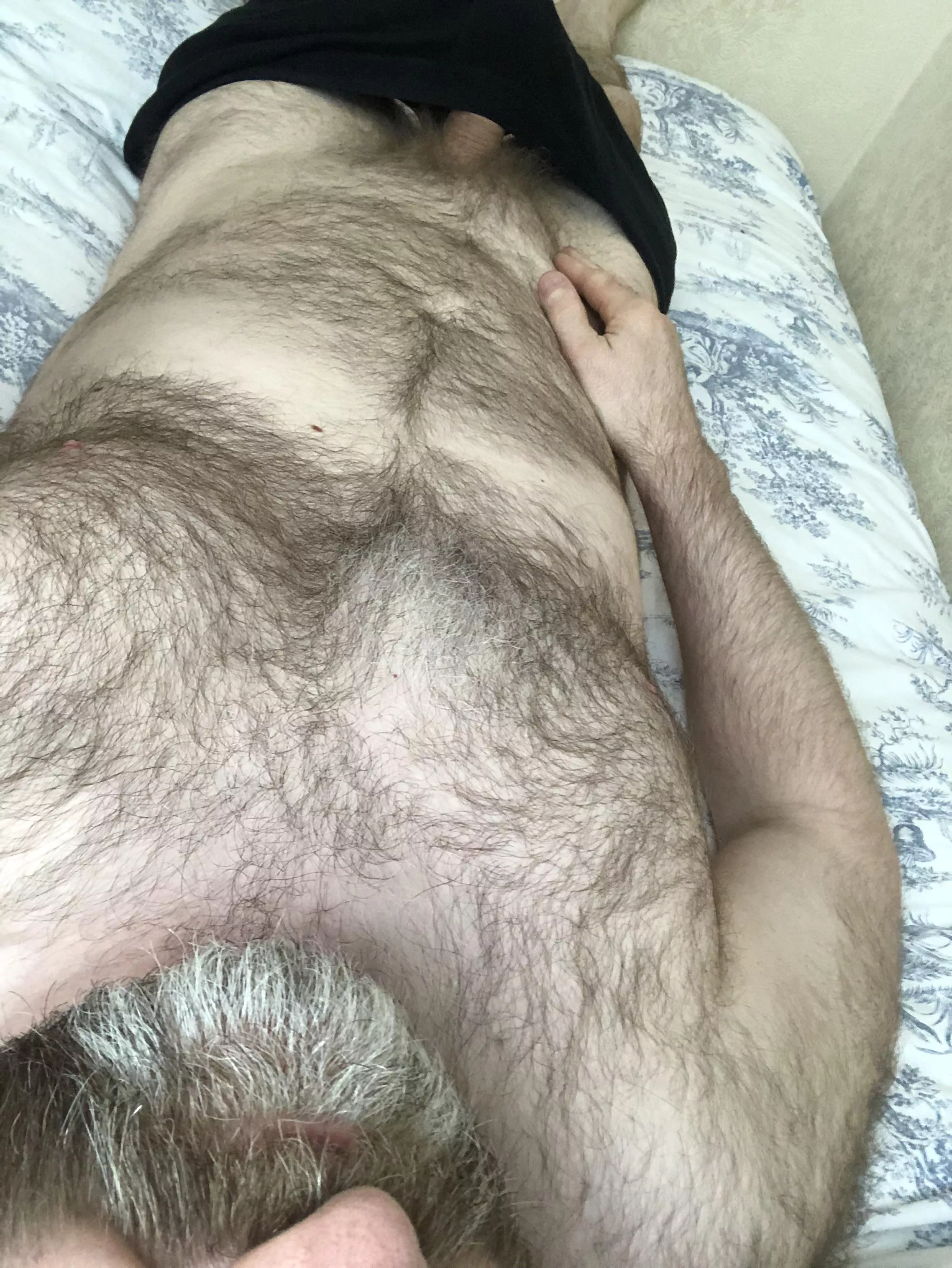 [46] Who wants a silver fox to ride?