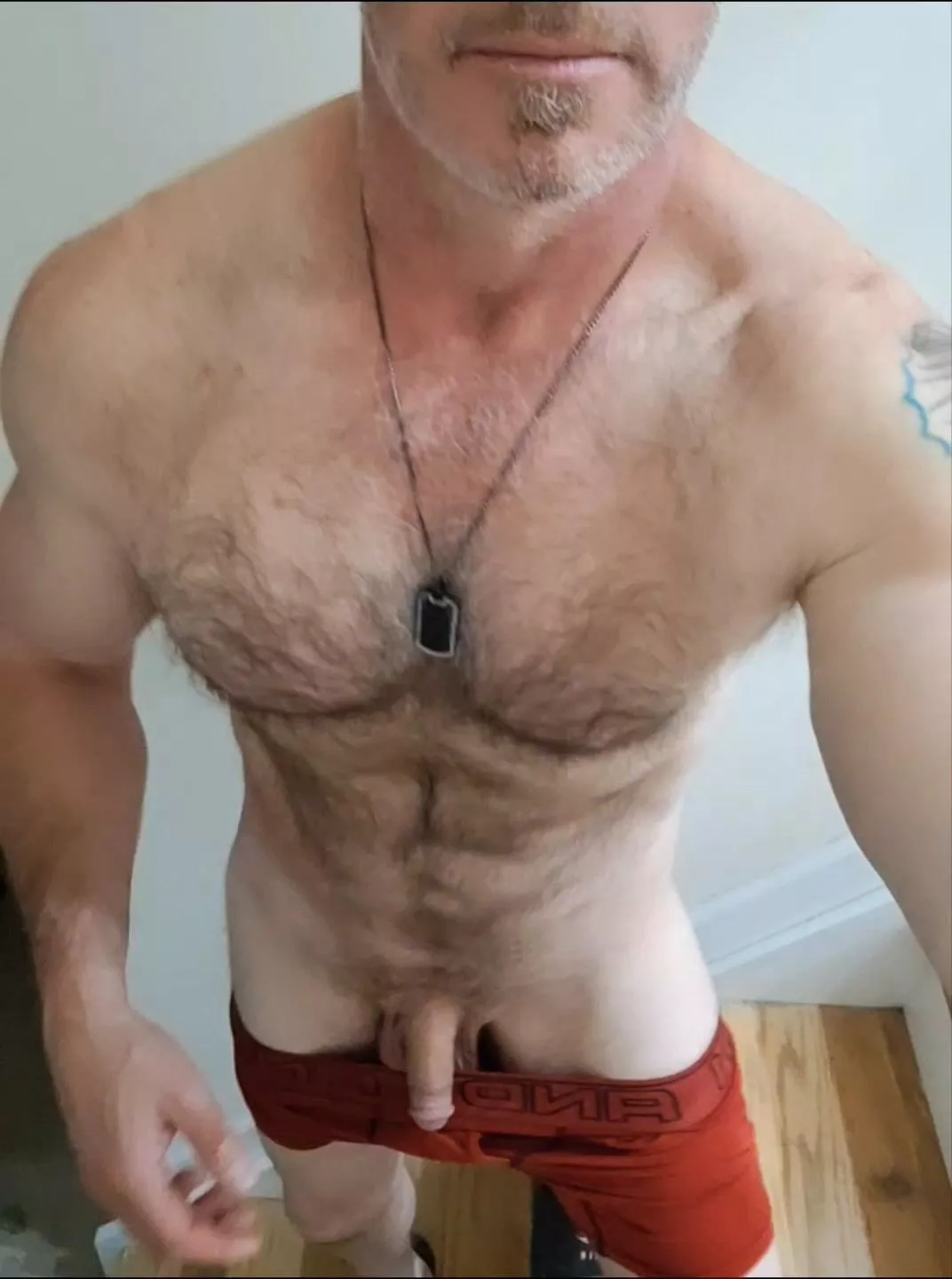 (51) my Dad Bod