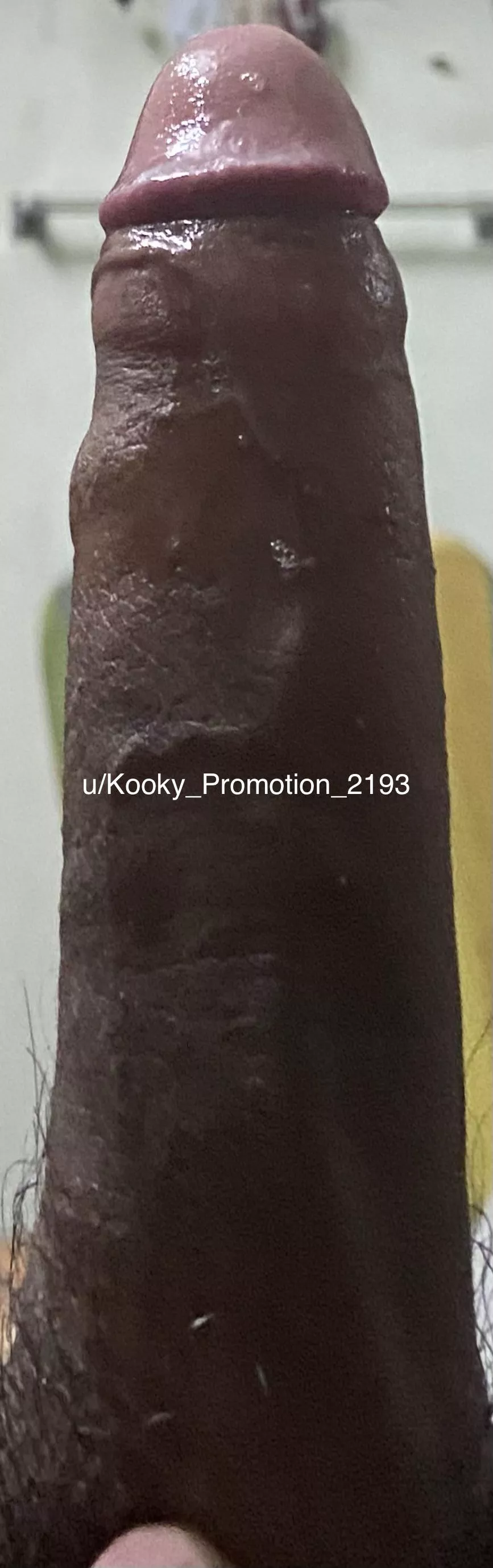 A big brown cock dripping precum is a different level of sexual