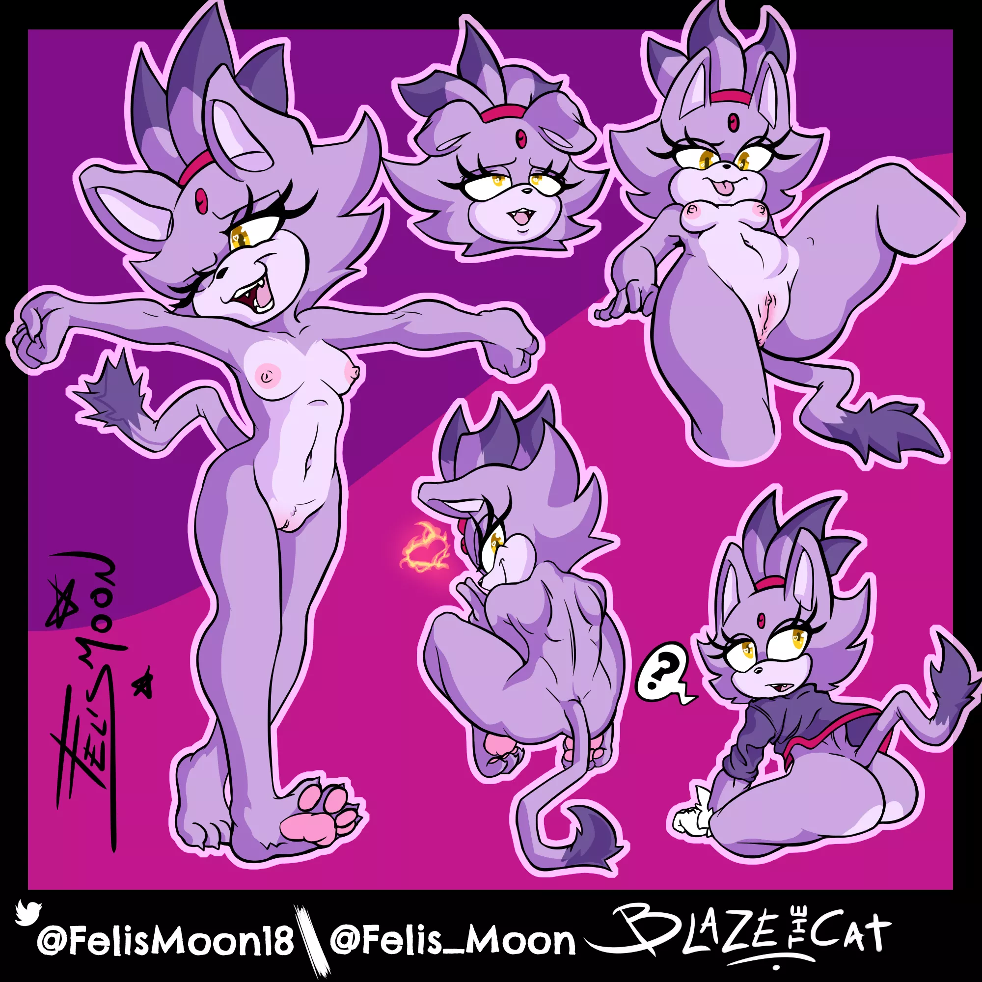 a bunch of Blazr the Cat (me)