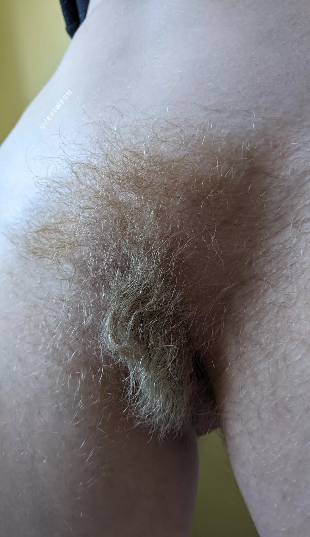 A detailed close-up of my blonde bush