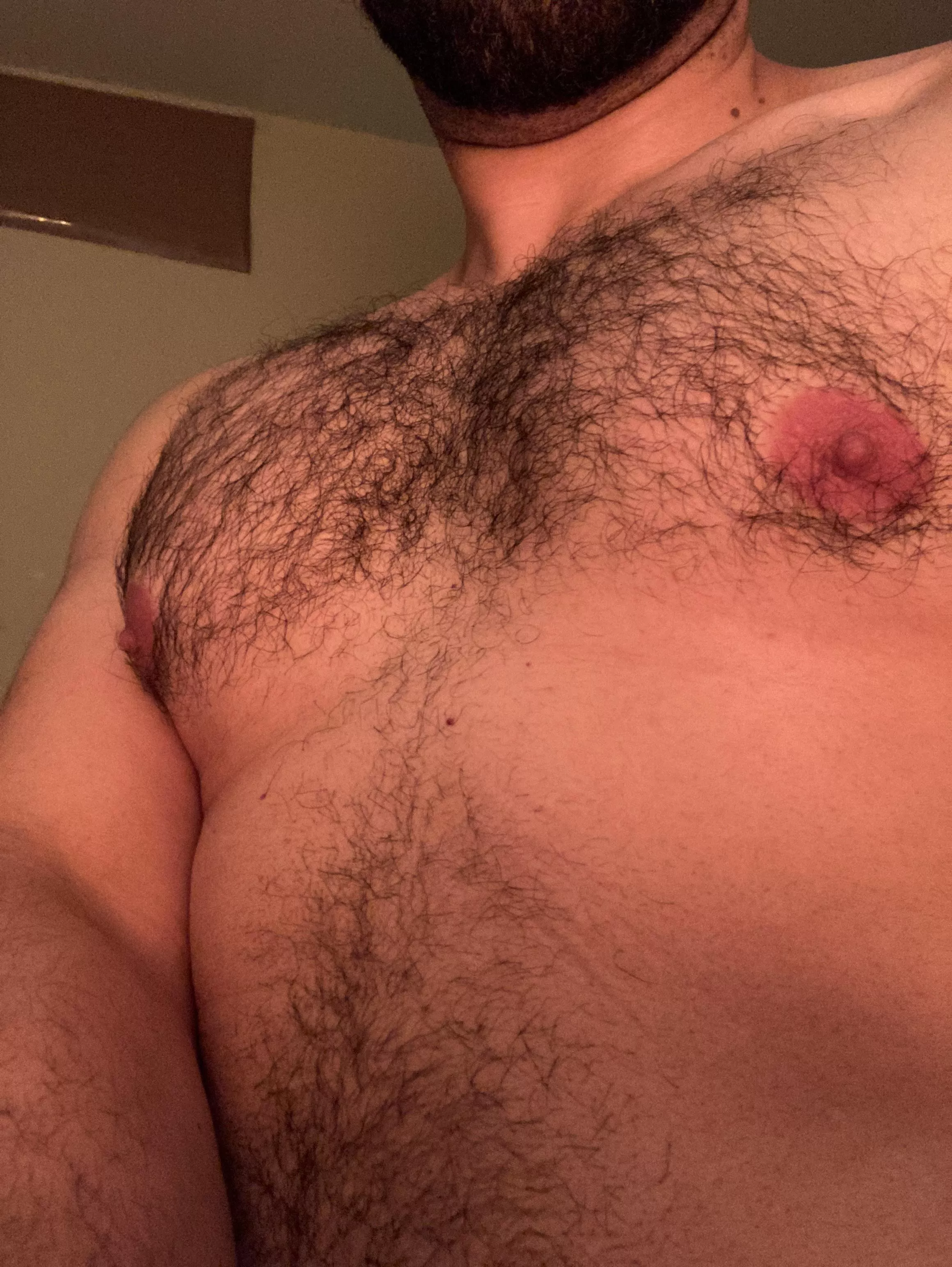 A hairy chest near you