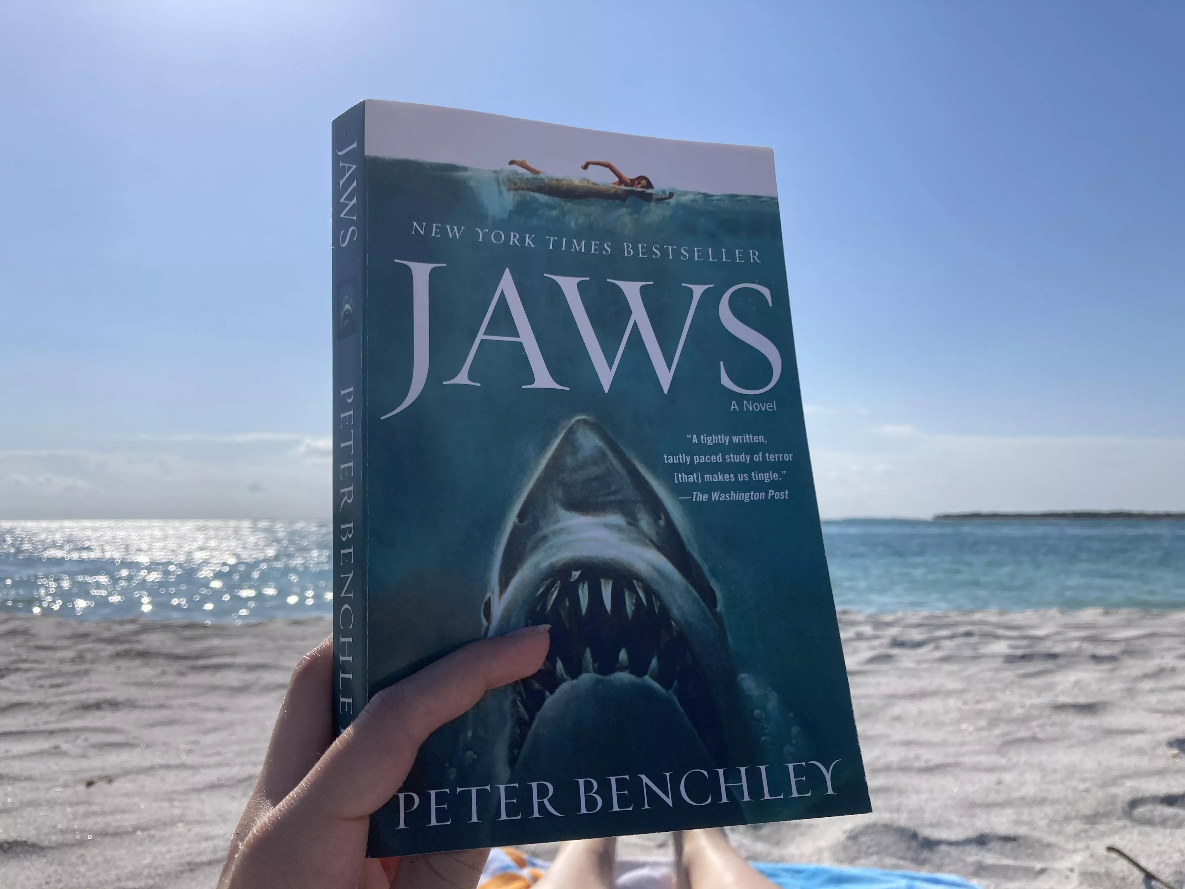 A perfect book for a day at the beach!