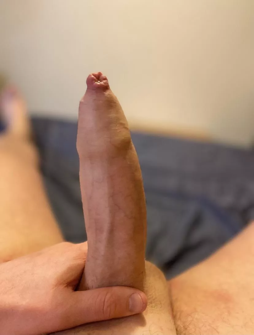 A simple dick pic