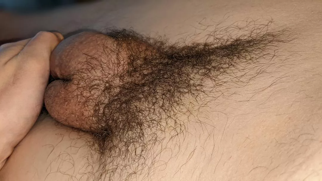 about 1 month of growing my pubes back