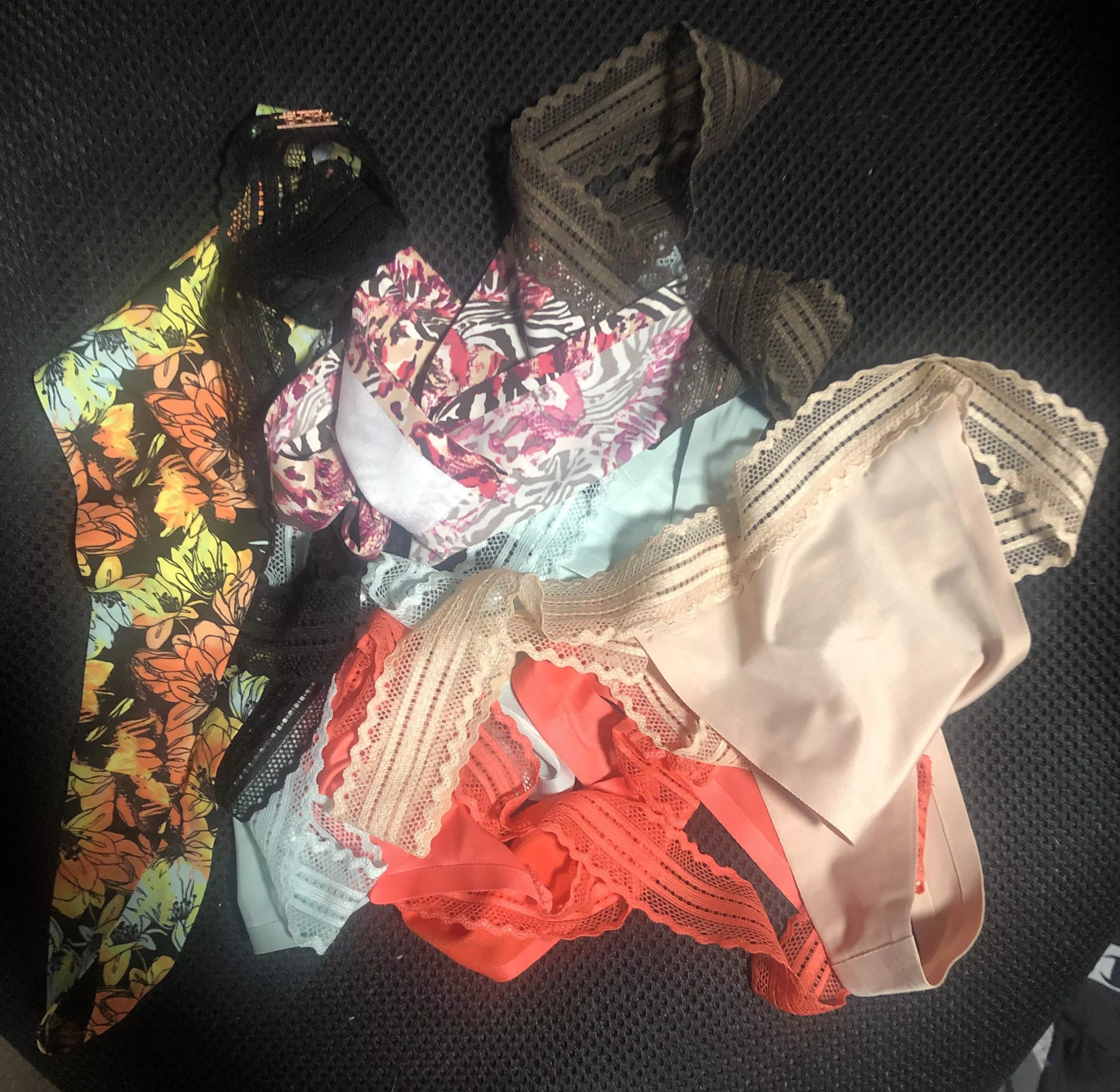 All of Elise’s panties I’ve collected